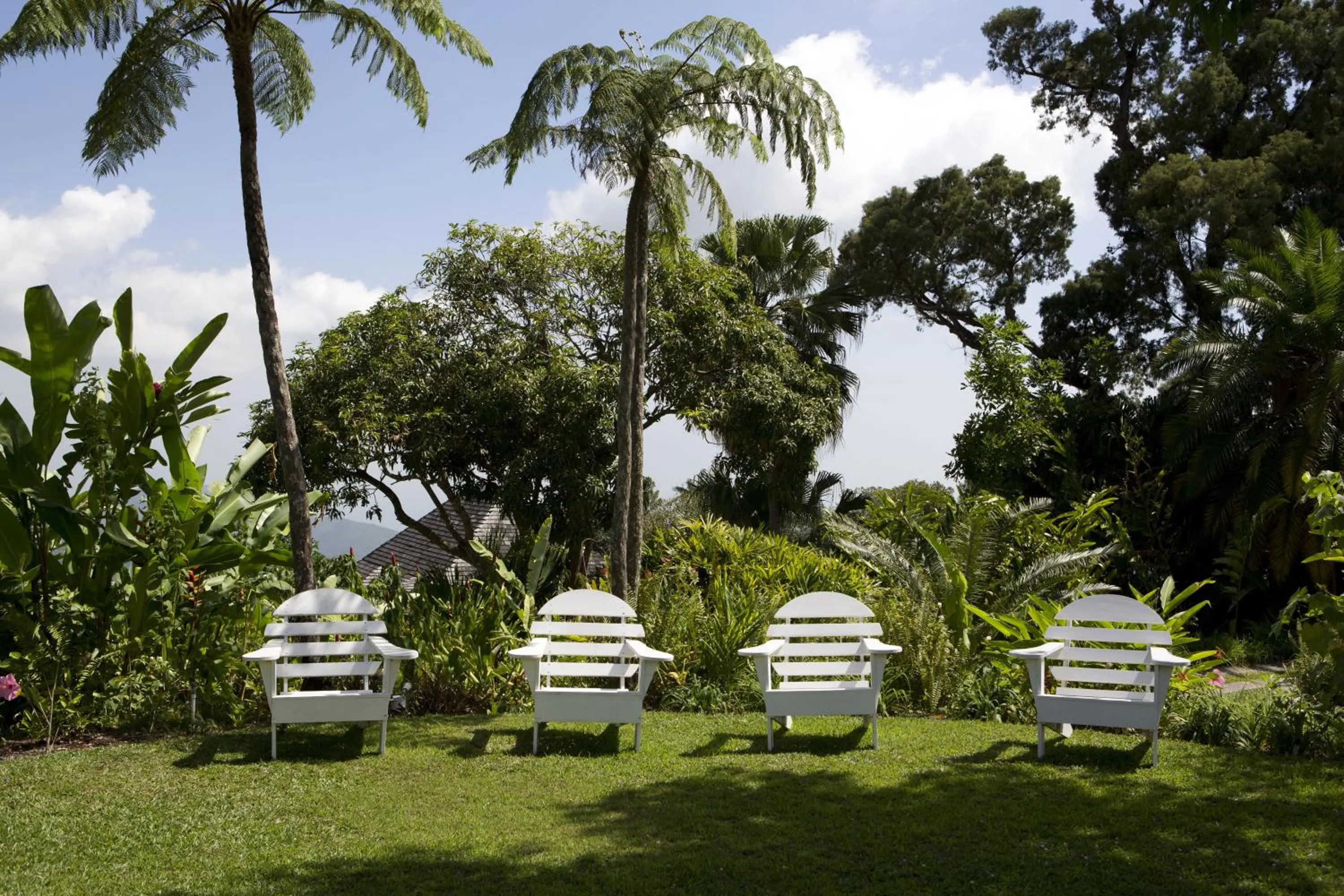 Garden in Strawberry Hill