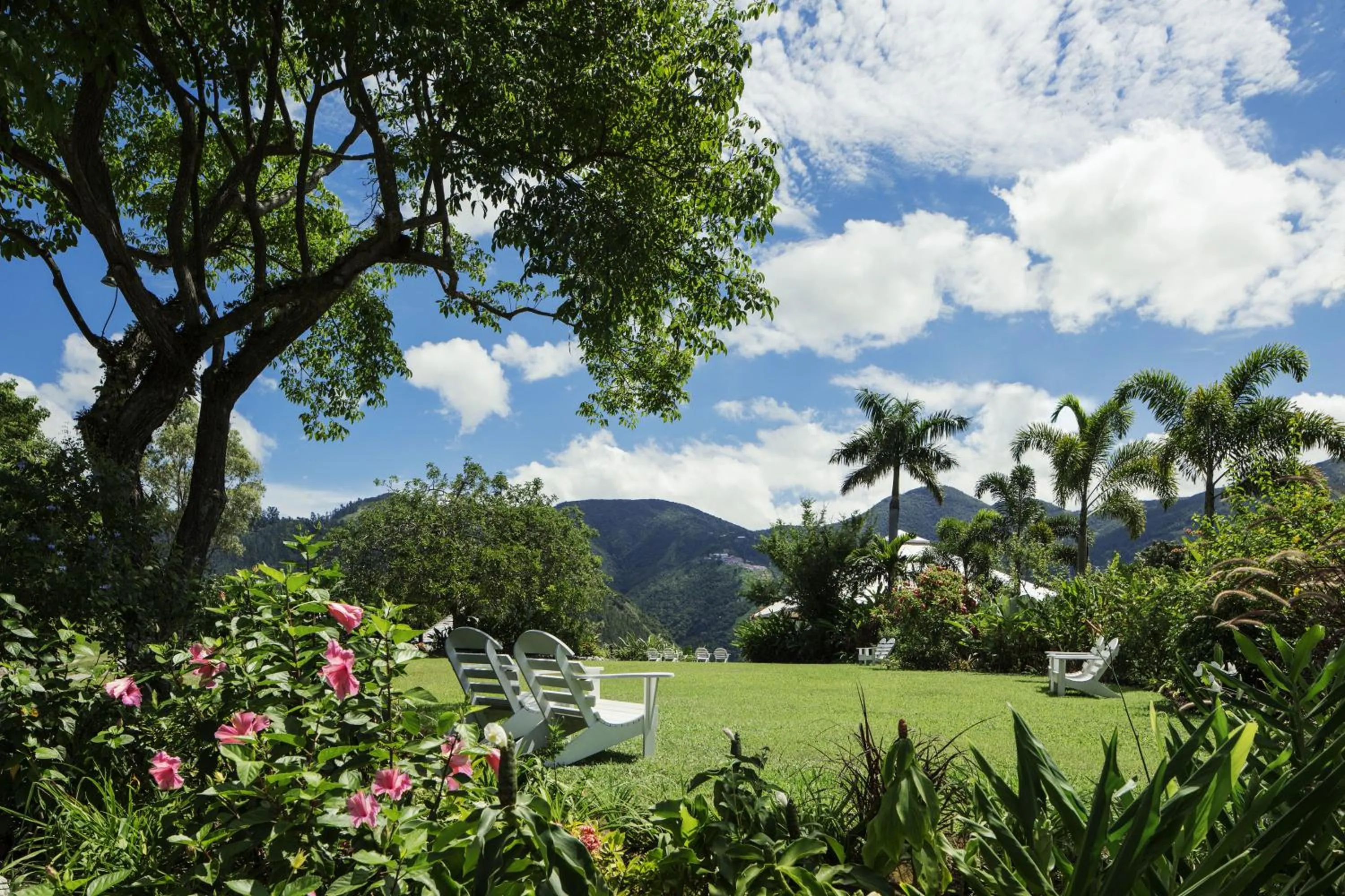 Garden in Strawberry Hill