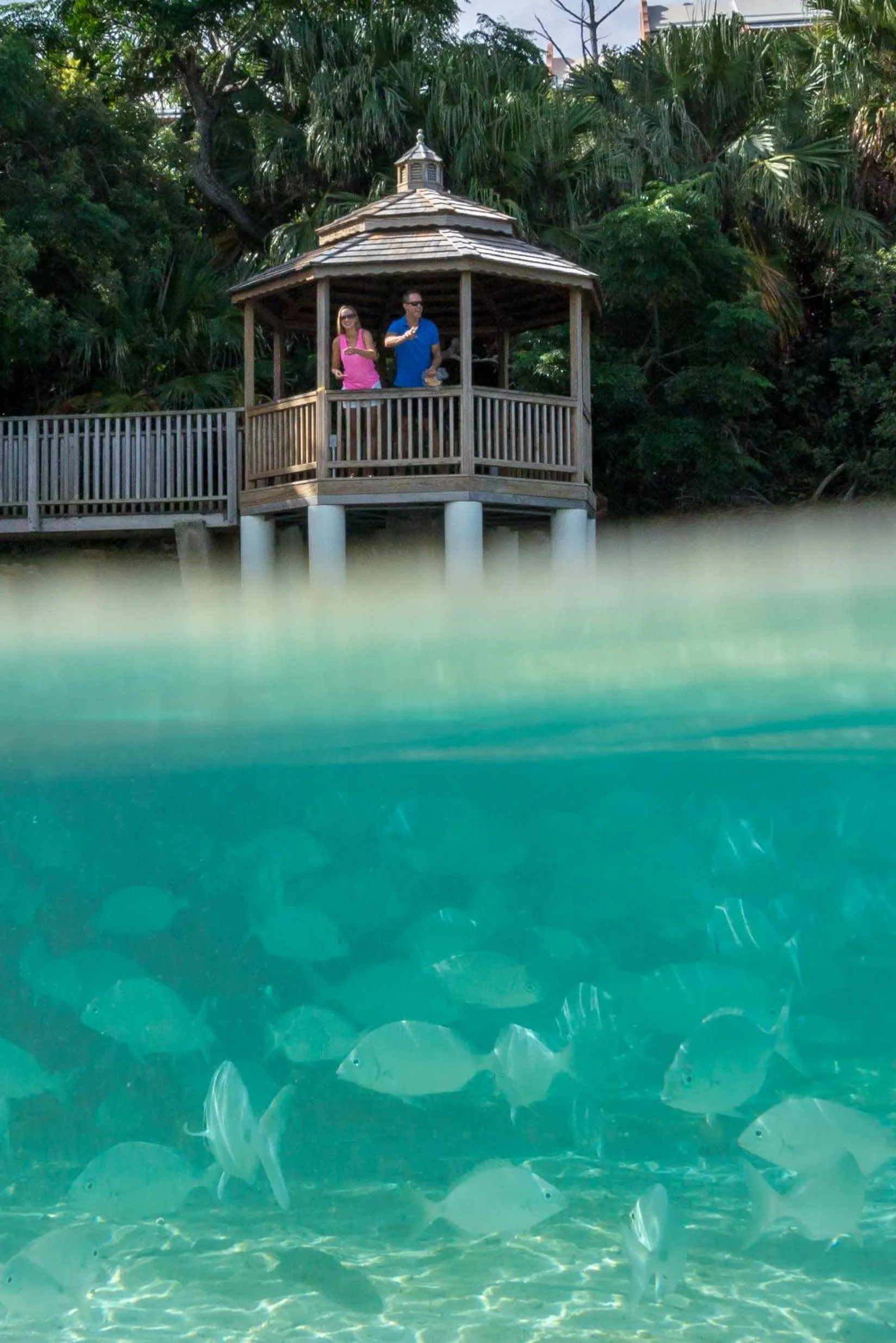 People in Grotto Bay Beach Resort