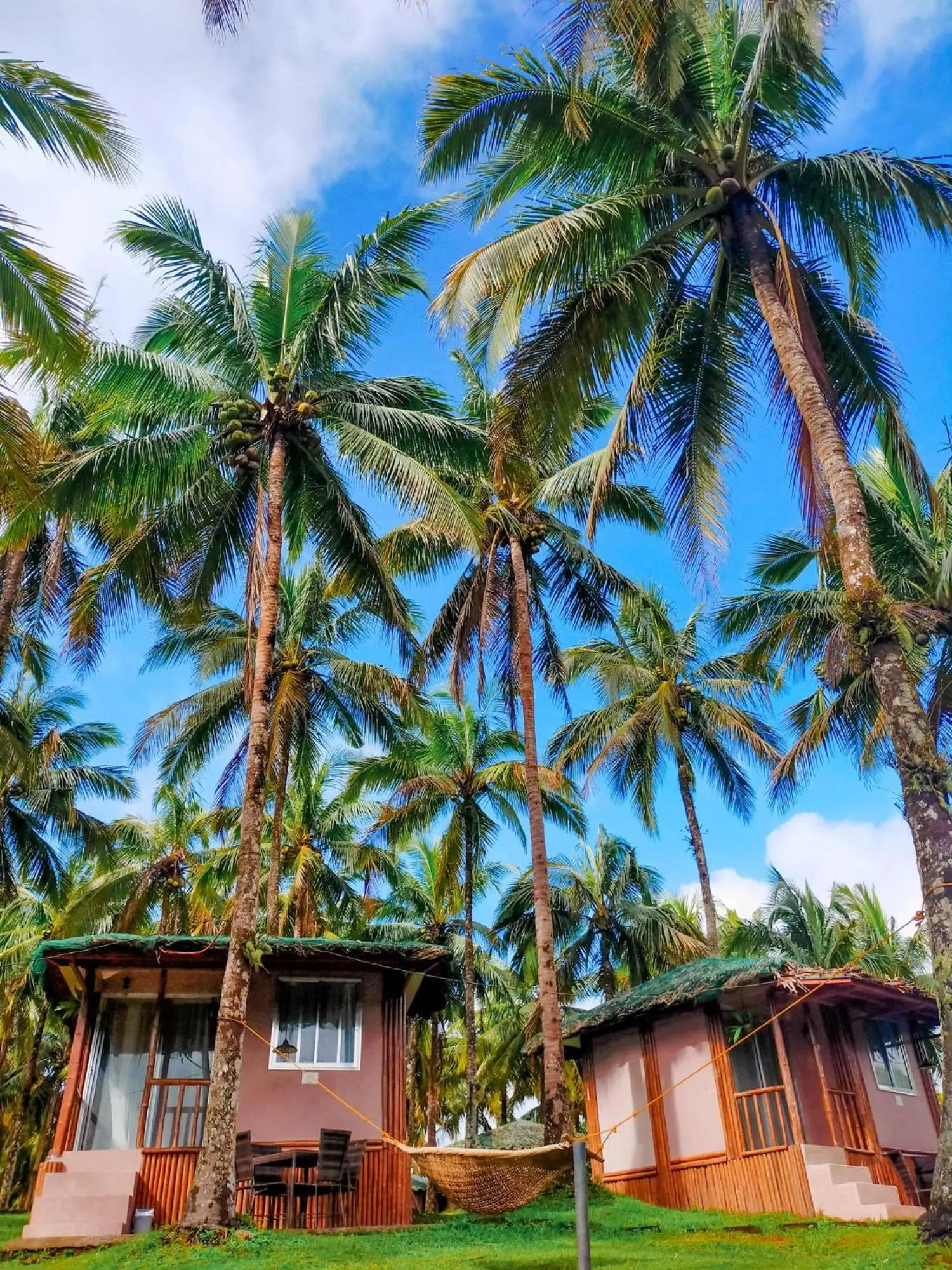 Garden in Caliraya Ecoville Recreation and Farm Resort