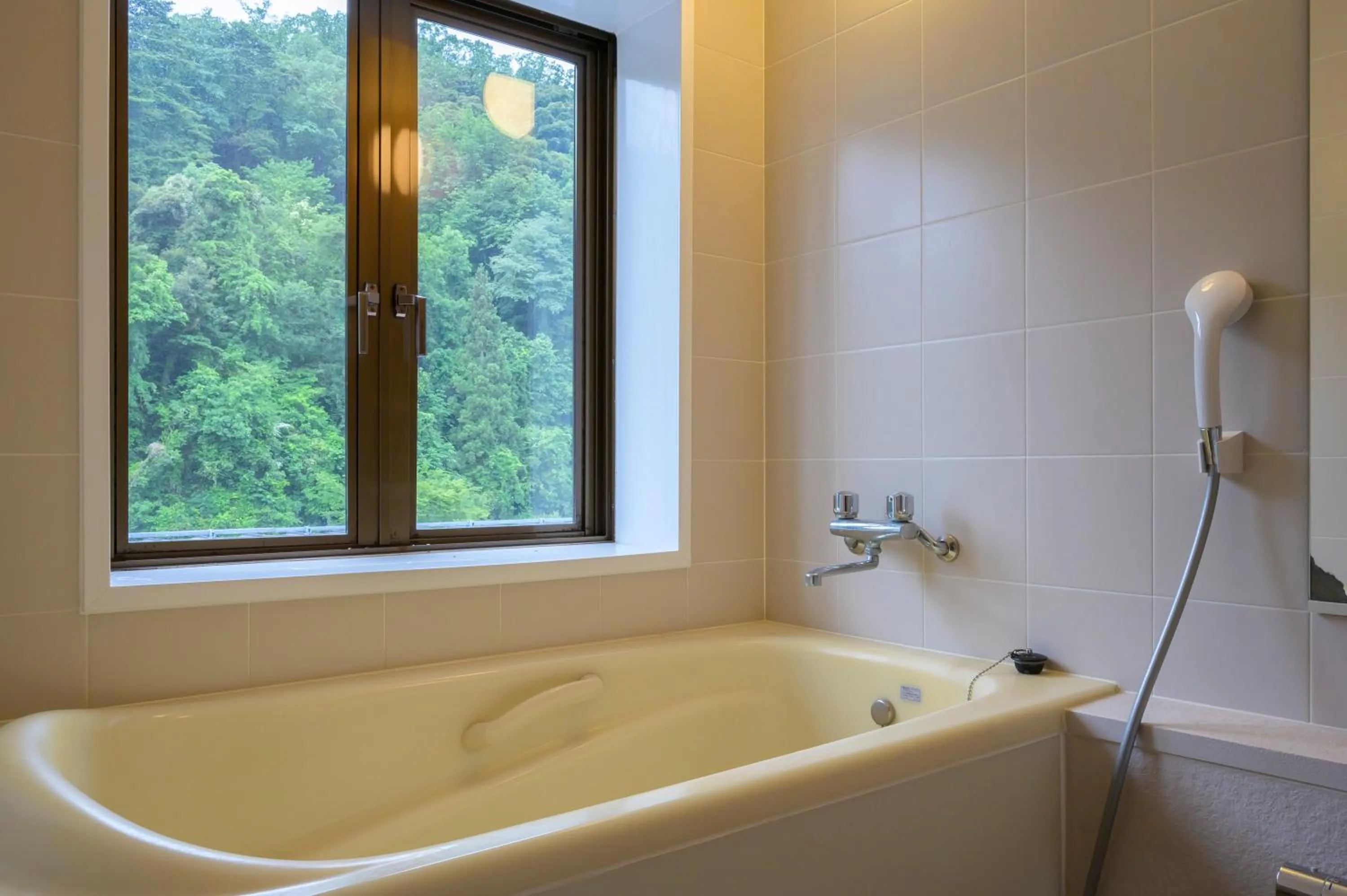 Hot Spring Bath in Ryokan Ohashi