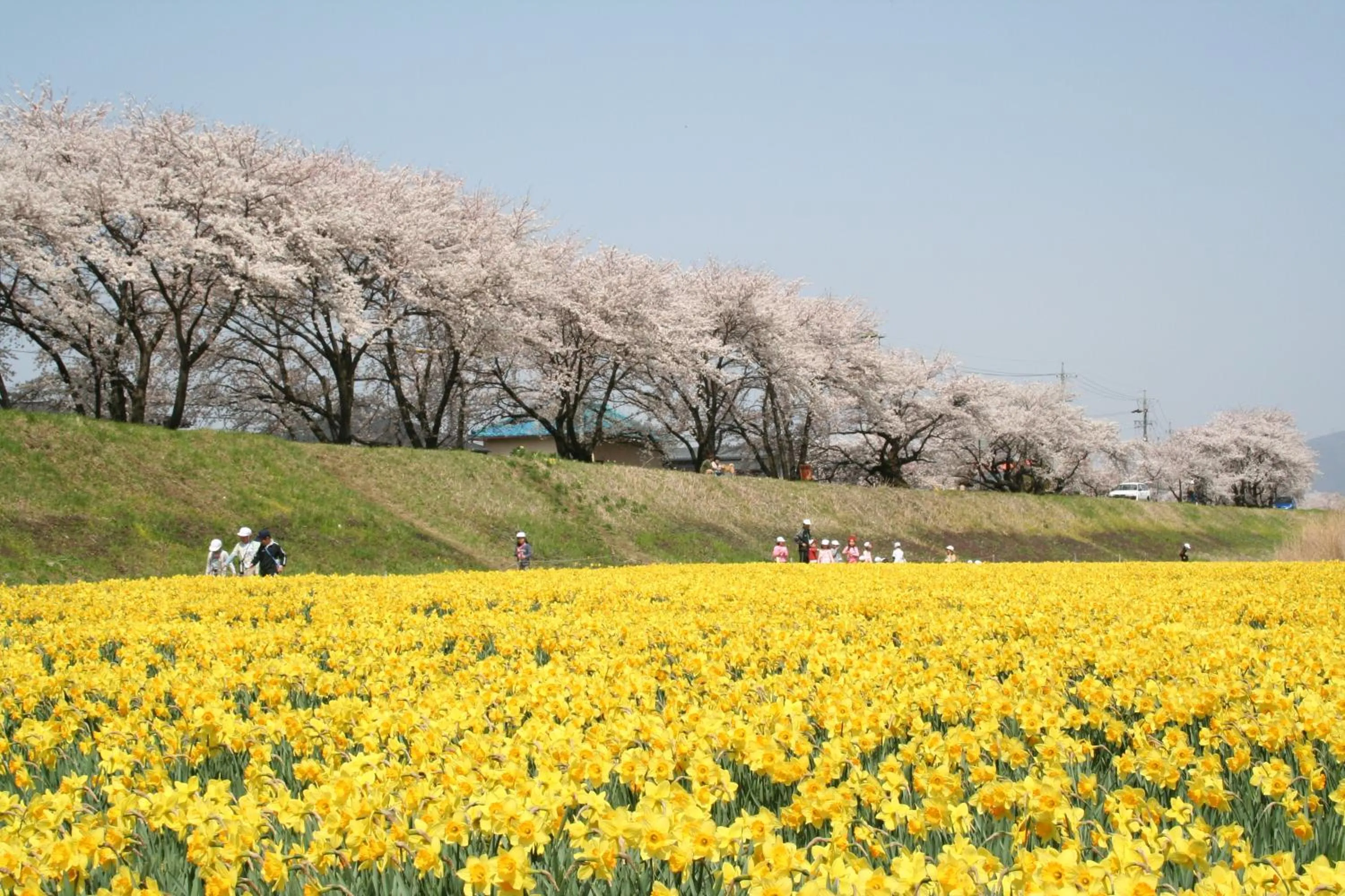 Nearby landmark in Rako Hananoi Hotel