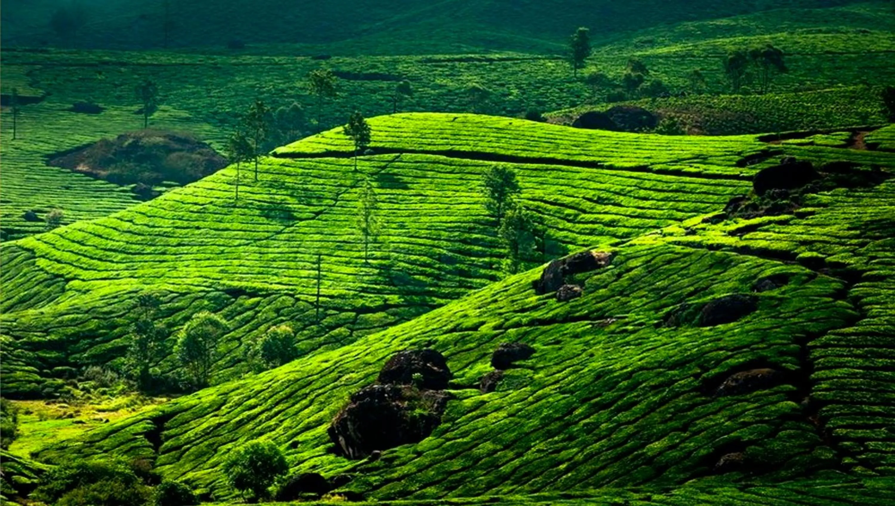 Other in Clouds Valley Hotel