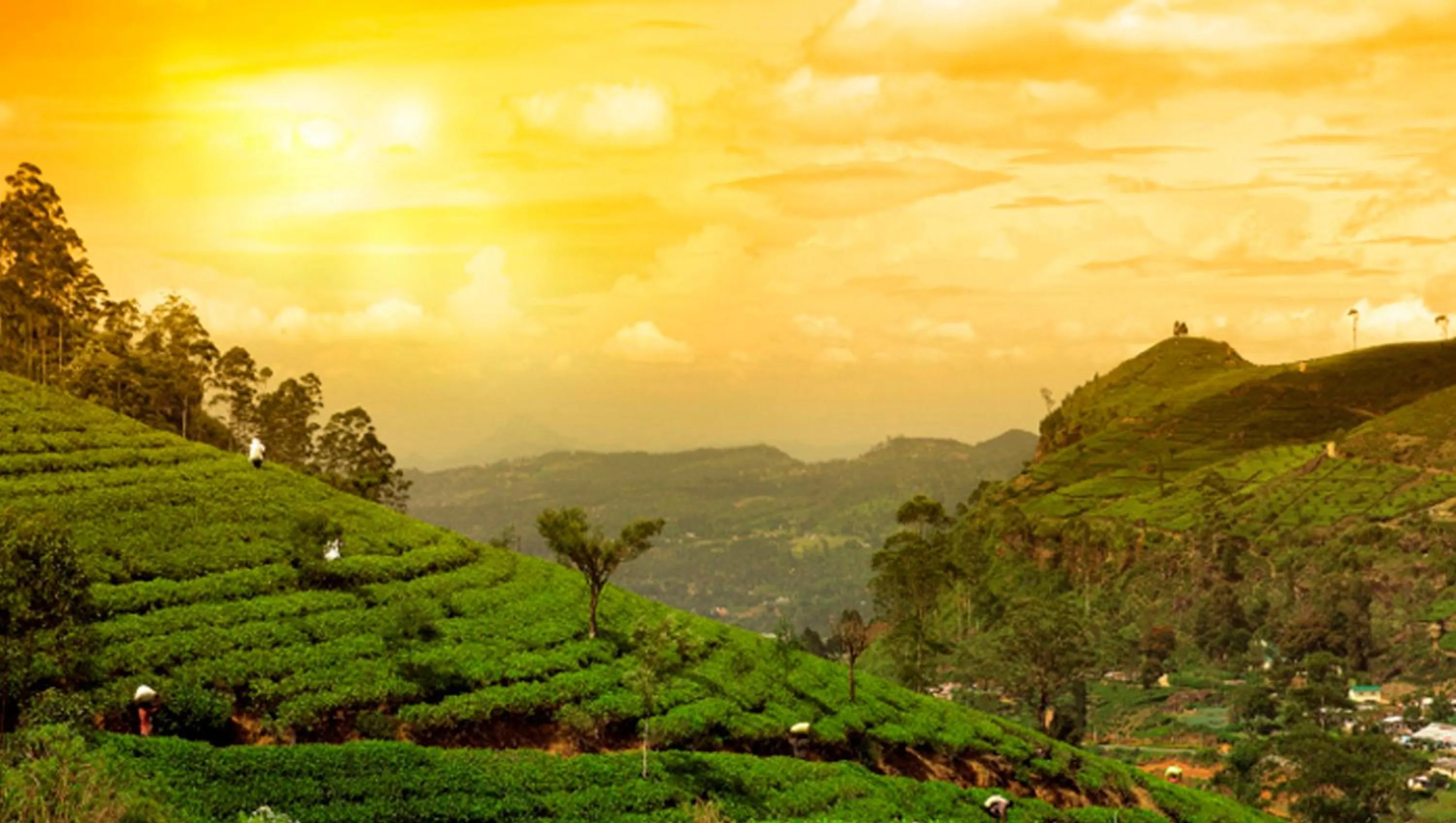 Other in Clouds Valley Hotel