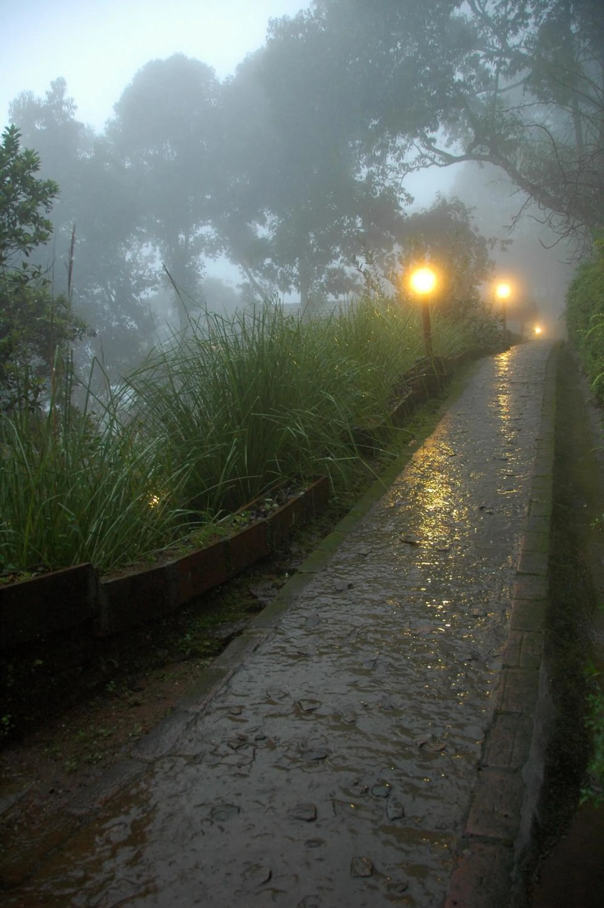 Garden in Blackberry Hills Munnar Nature Resort & Spa