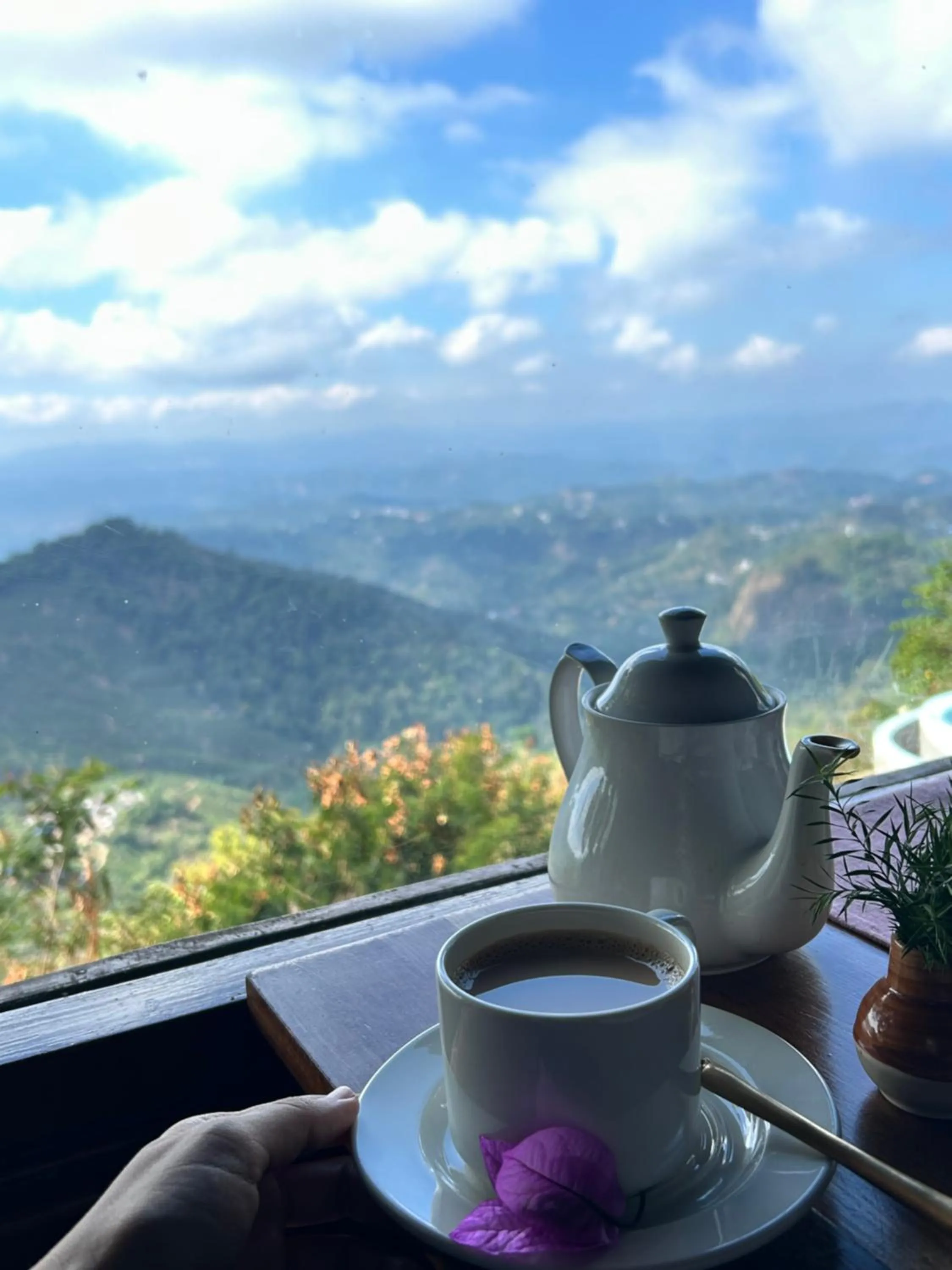 Restaurant/places to eat in Blackberry Hills Munnar Nature Resort & Spa