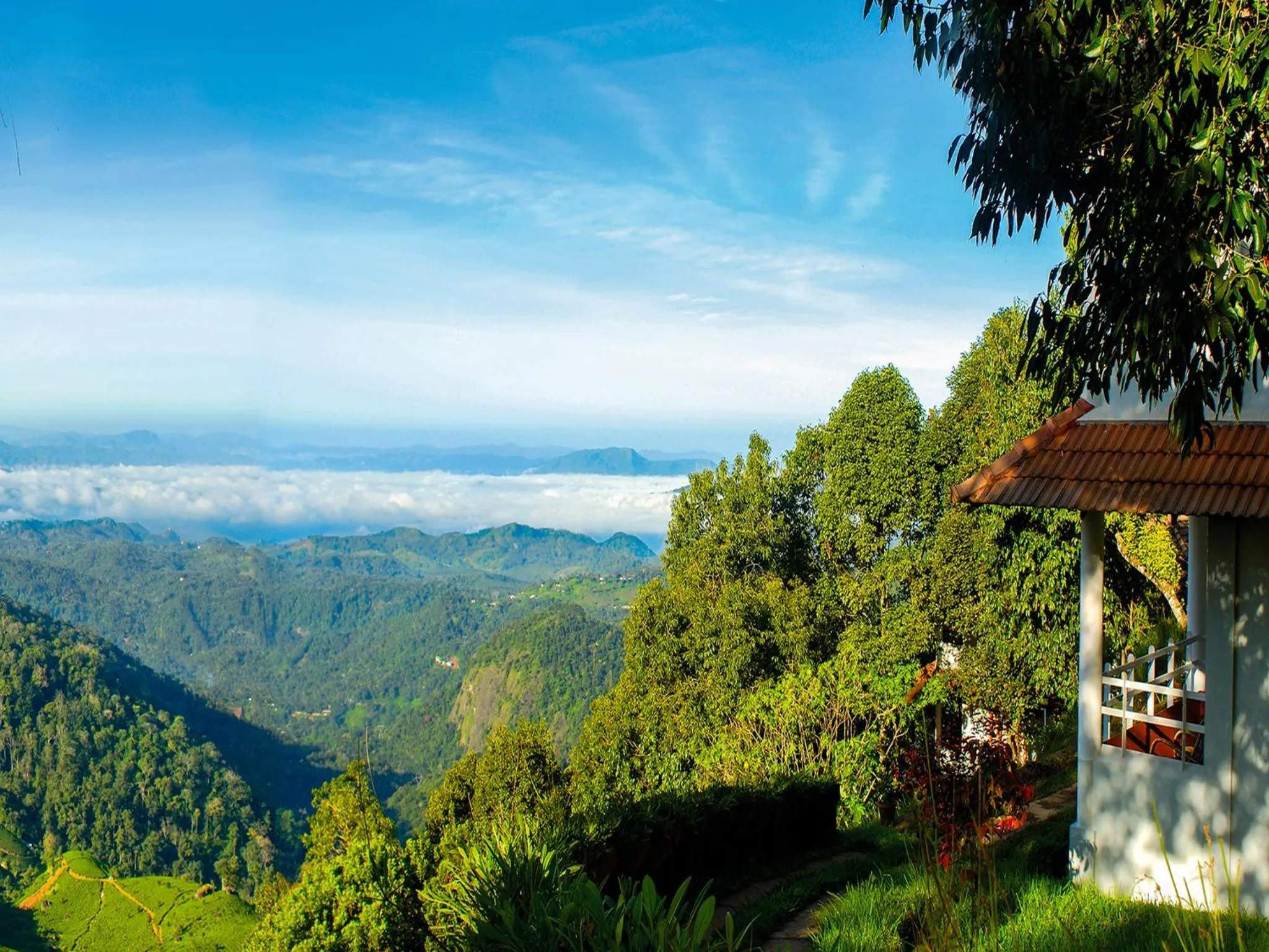 Mountain view in Blackberry Hills Munnar Nature Resort & Spa