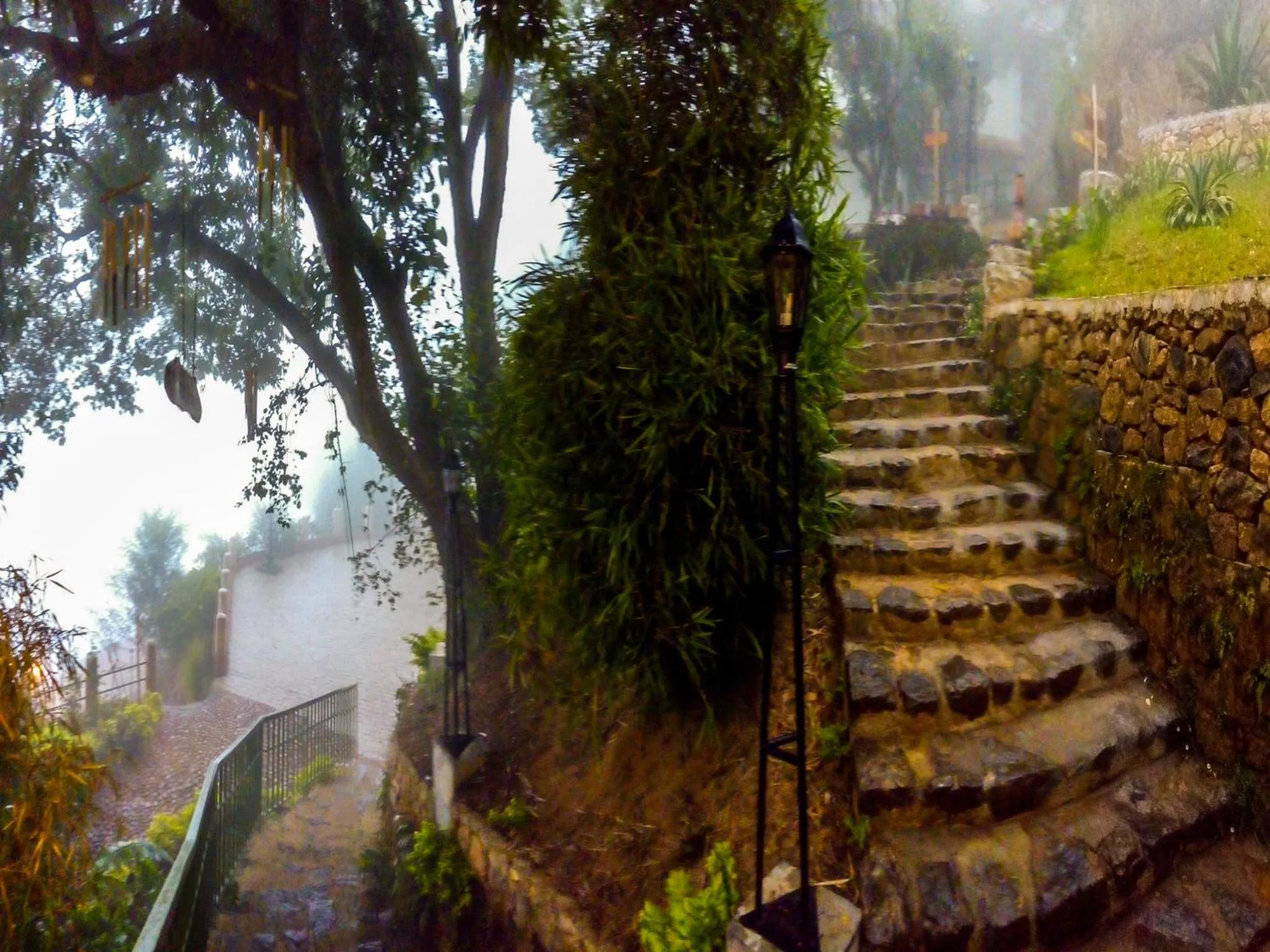 Garden in Blackberry Hills Munnar Nature Resort & Spa