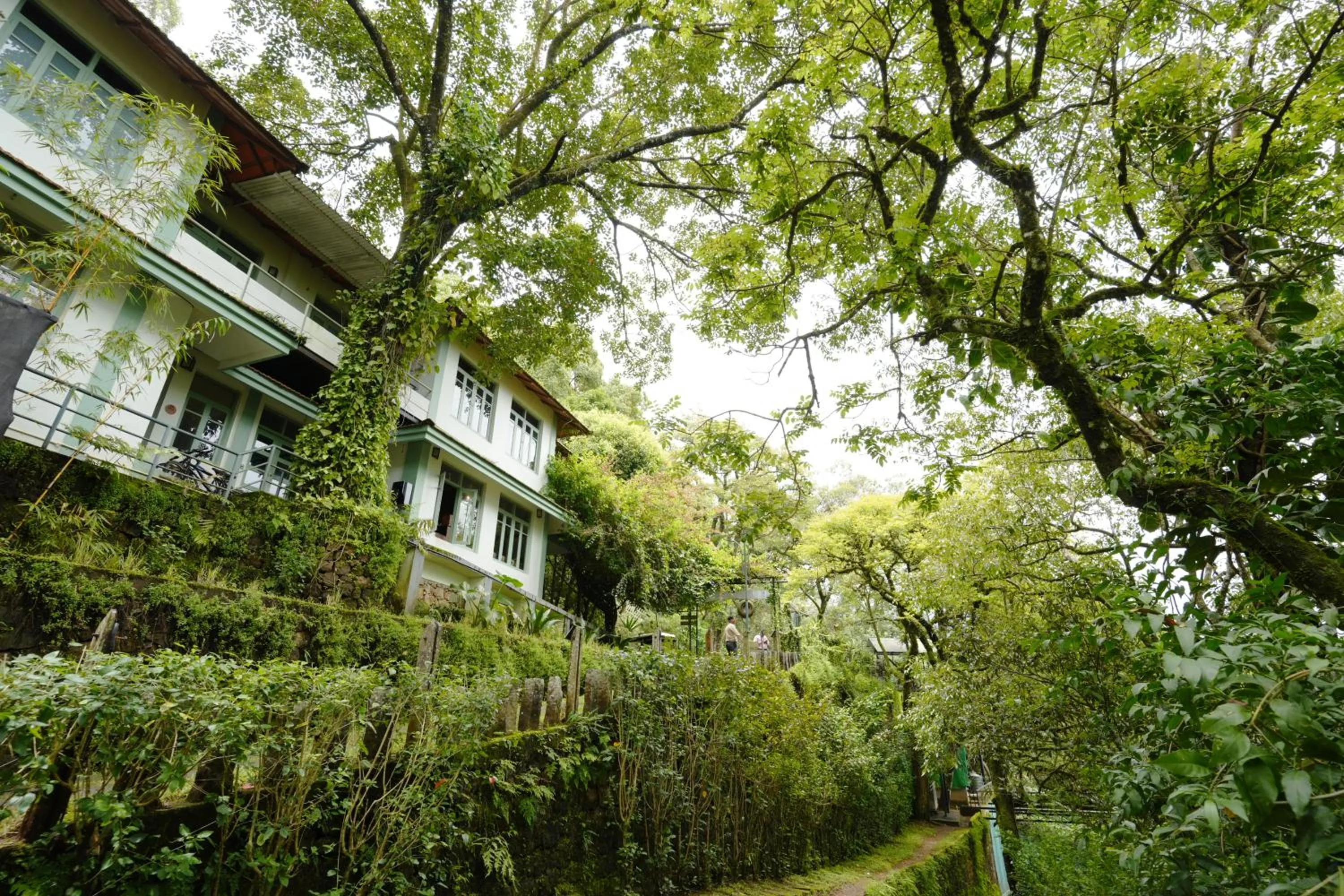 Property building in Blackberry Hills Munnar Nature Resort & Spa