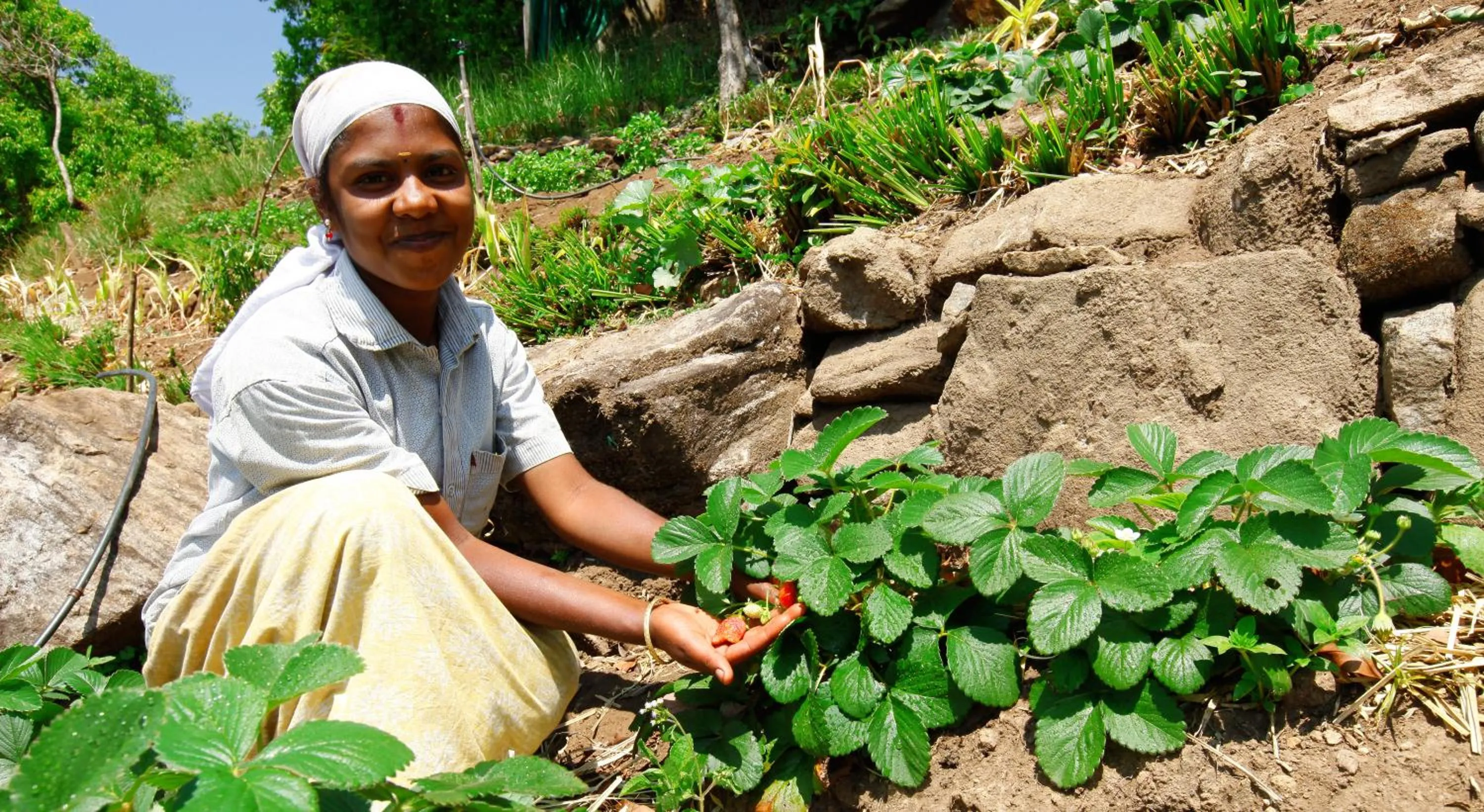 Activities in Blackberry Hills Munnar Nature Resort & Spa