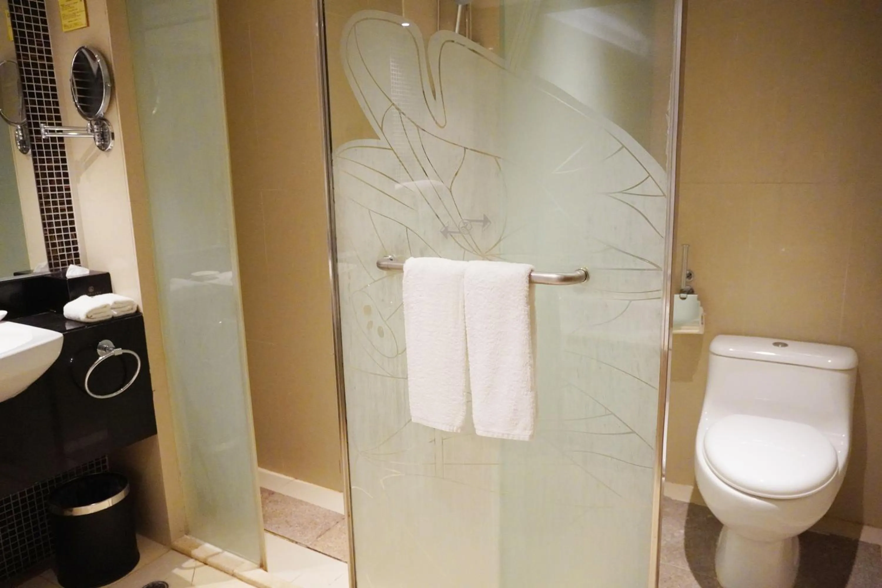 Toilet in Landmark International Hotel