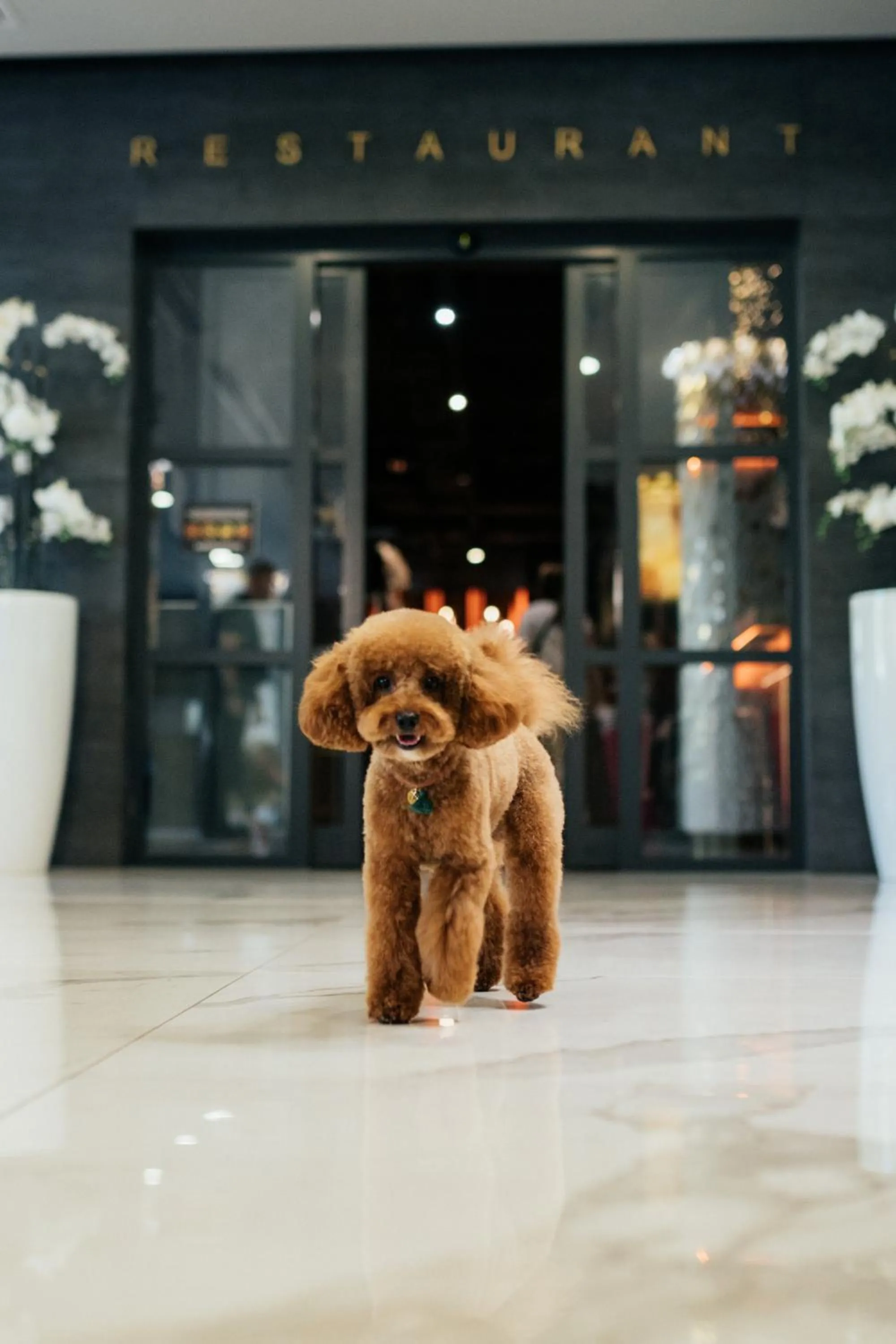 Restaurant/places to eat in Favor Park Hotel