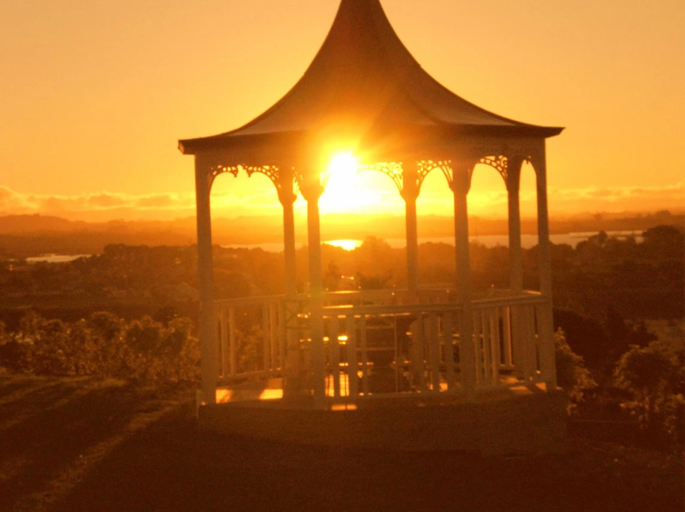View (from property/room) in Manor Views NZ