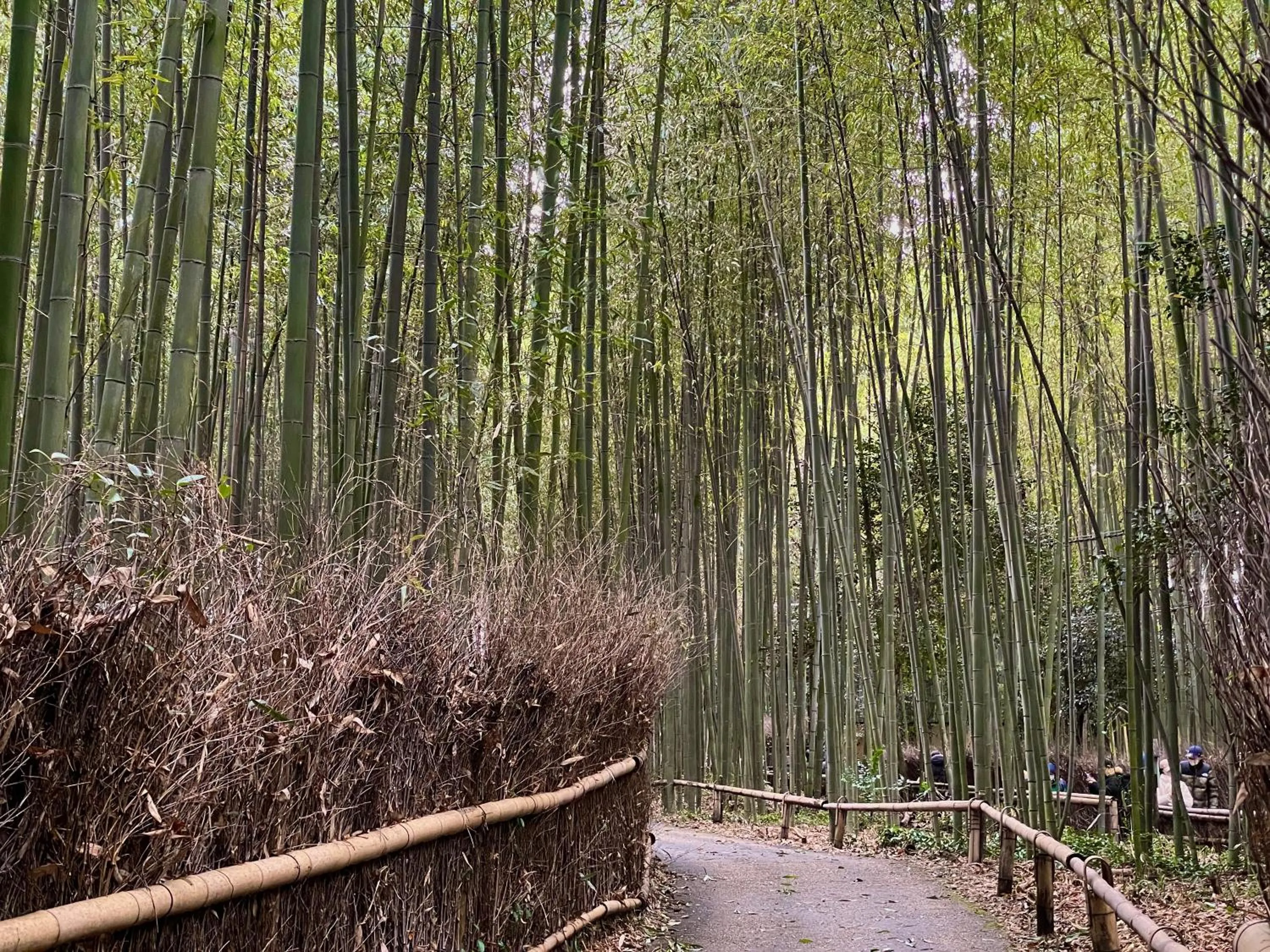 Yado Arashiyama -13 years old or older only-