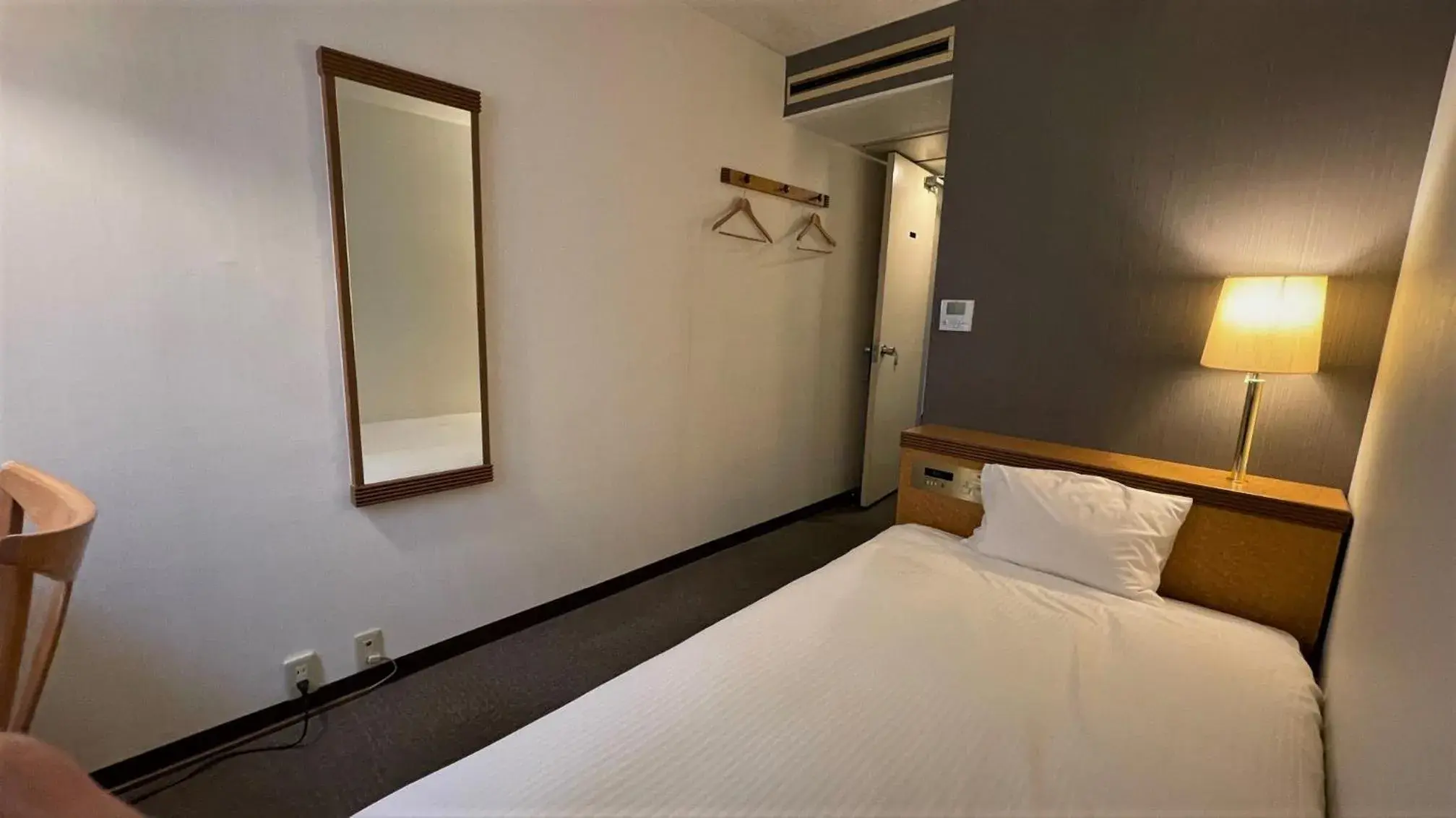 Single Room in Ueno Terminal Hotel Single Room in Ueno Terminal Hotel