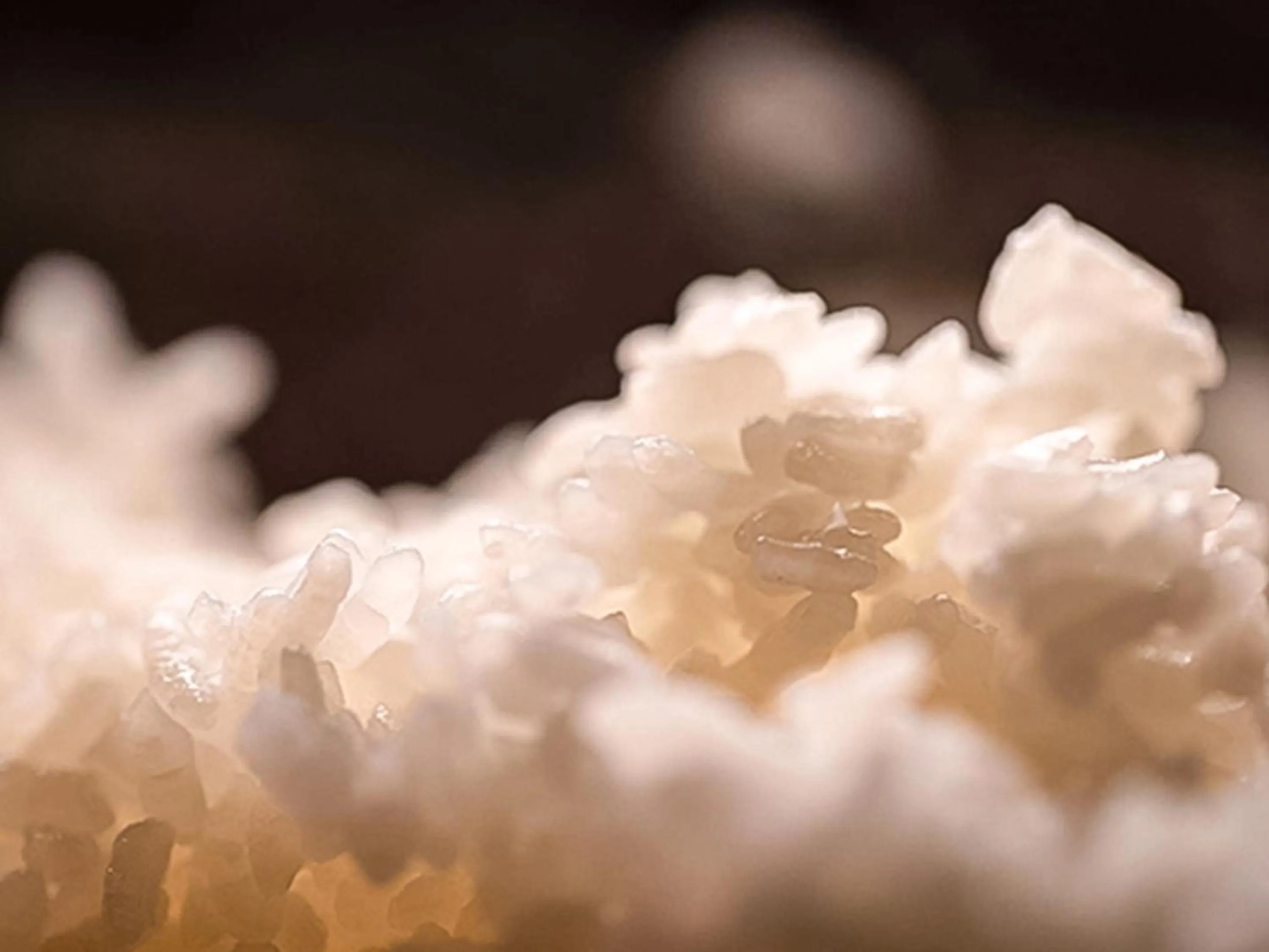 Food and drinks in Shirakaba