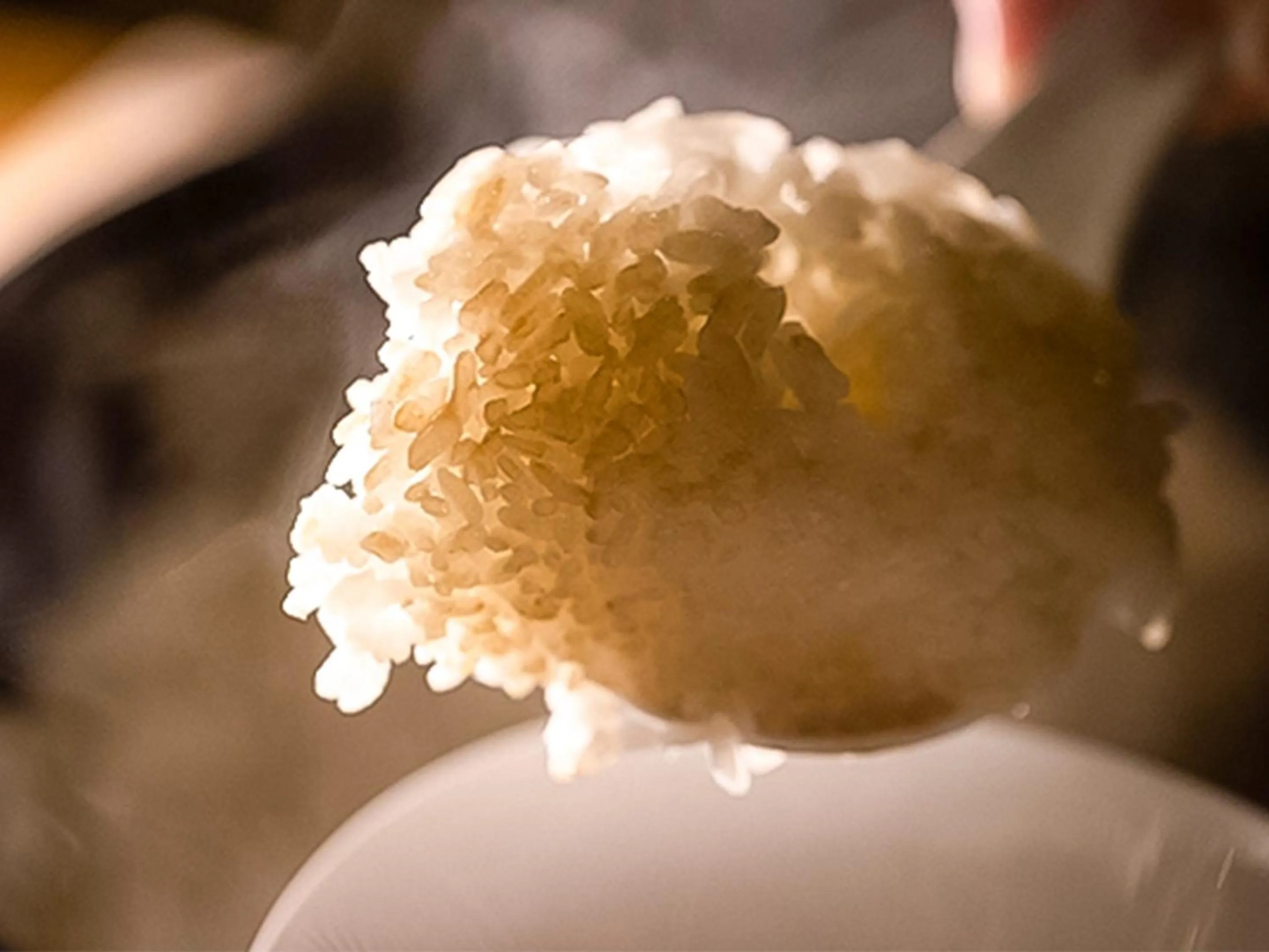 Food and drinks in Shirakaba