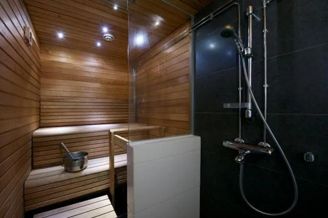 Sauna in Hippu Apartment