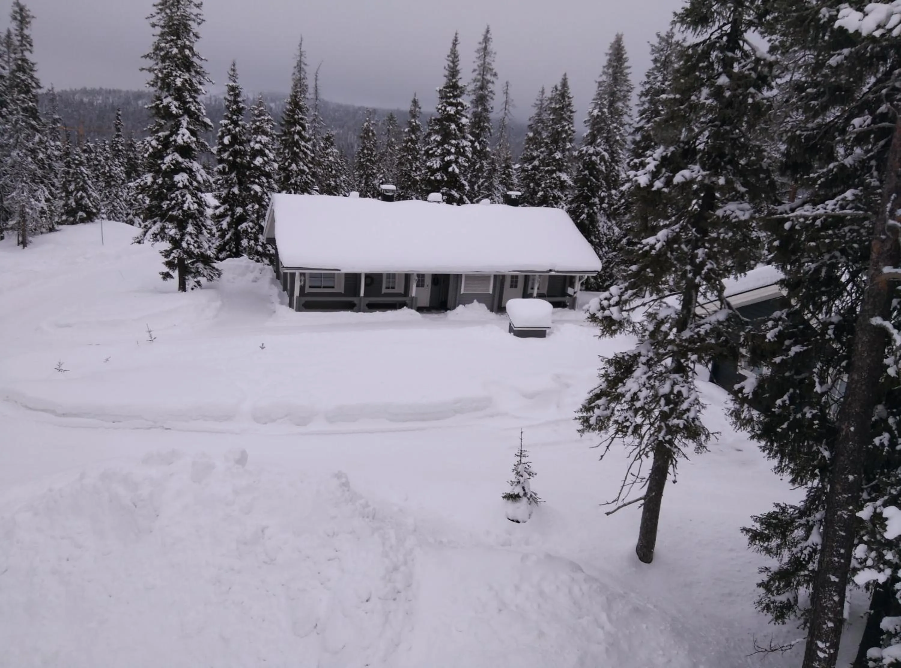 Property building in Hippu Apartment