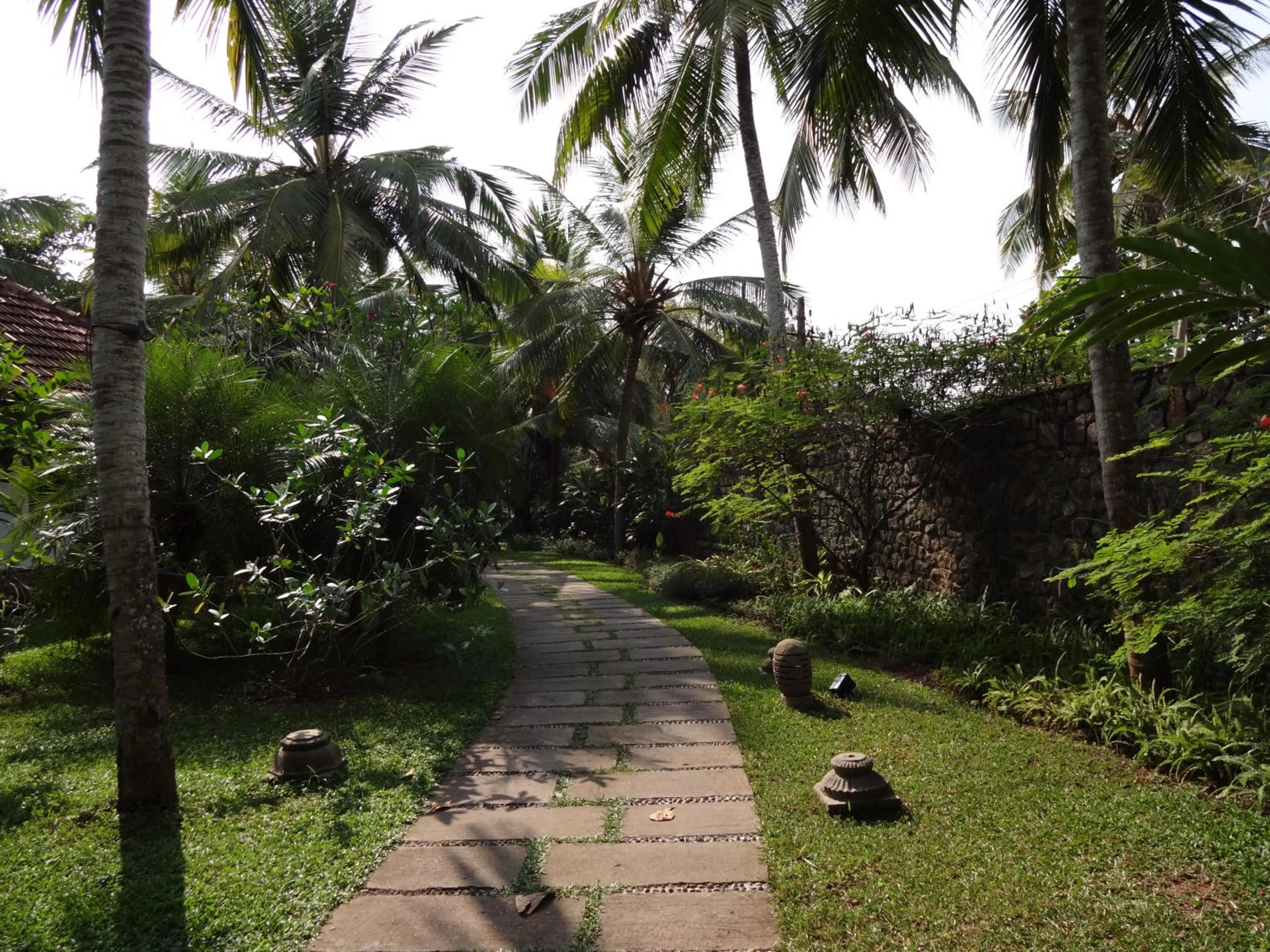 Natural landscape in Niraamaya Wellness Retreats, Surya Samudra, Kovalam