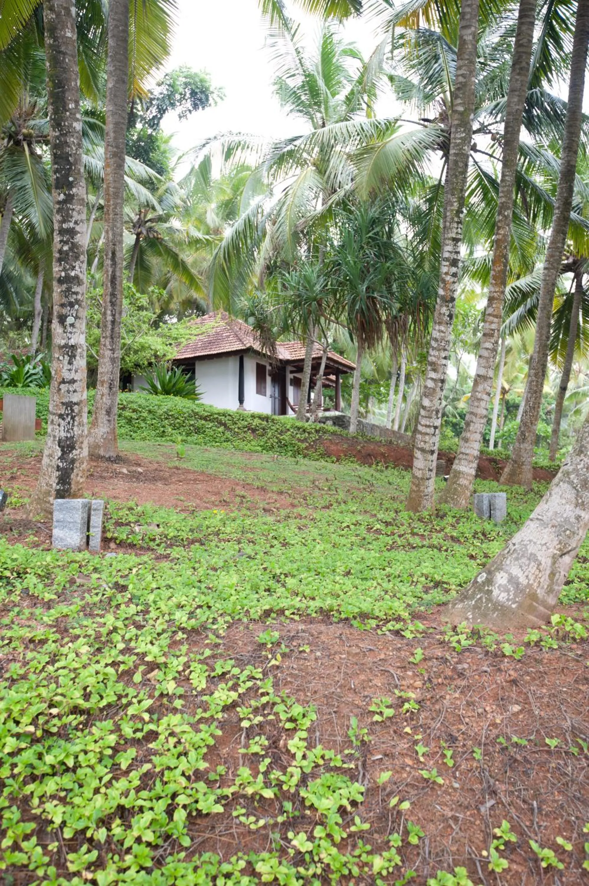 Property building in Niraamaya Wellness Retreats, Surya Samudra, Kovalam