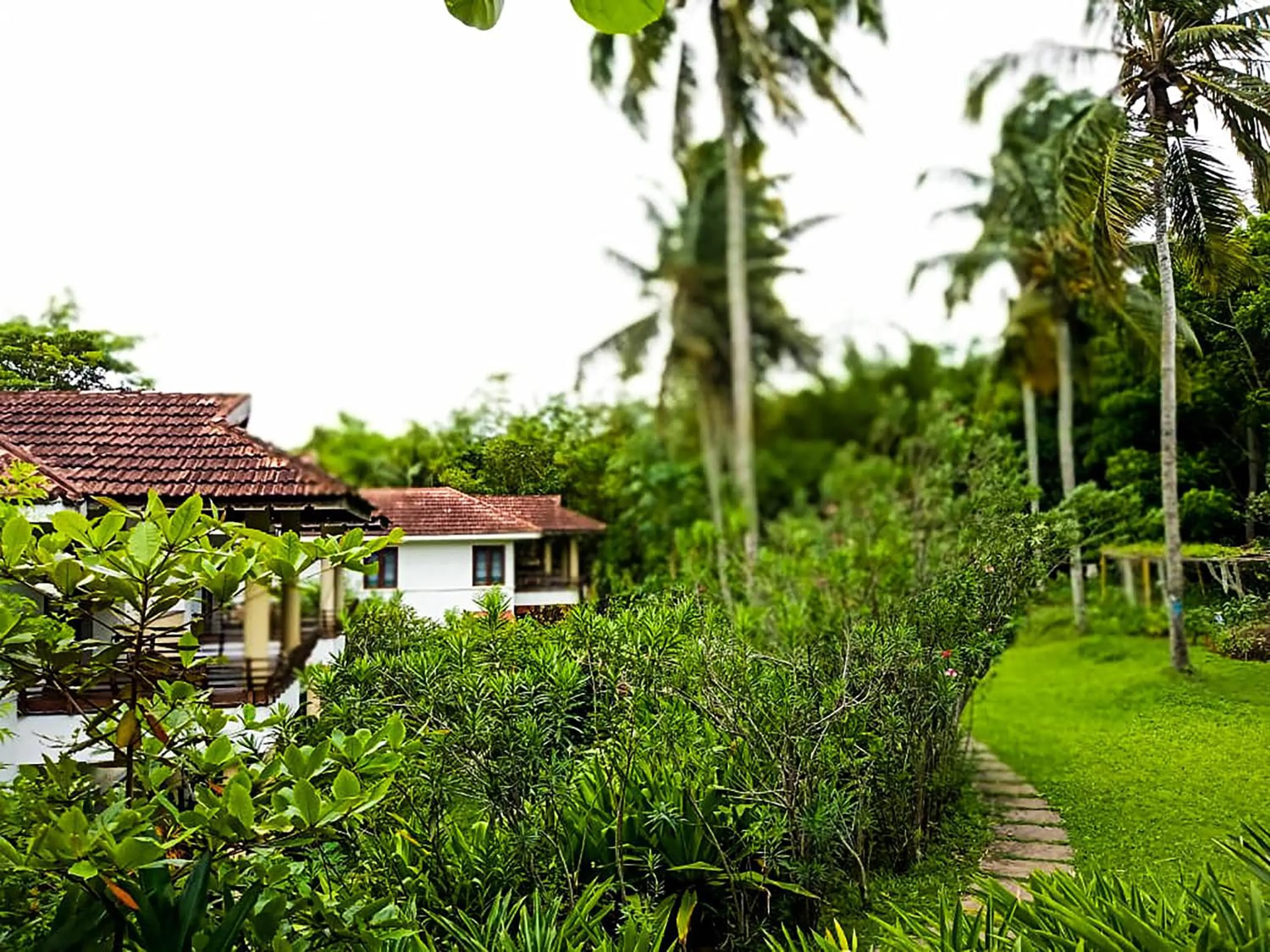 View (from property/room) in Niraamaya Wellness Retreats, Surya Samudra, Kovalam