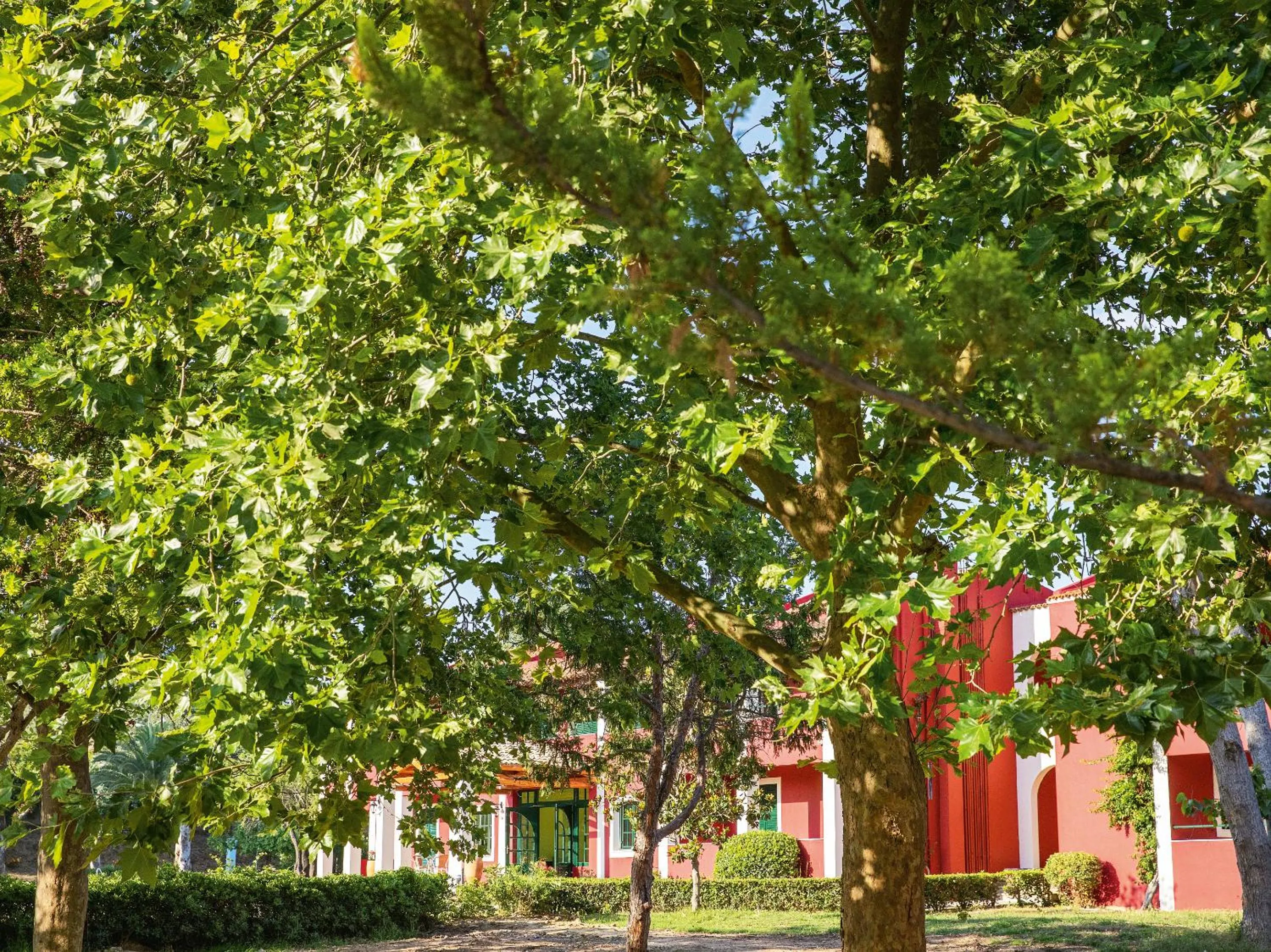 Grecotel LUXME Costa Botanica