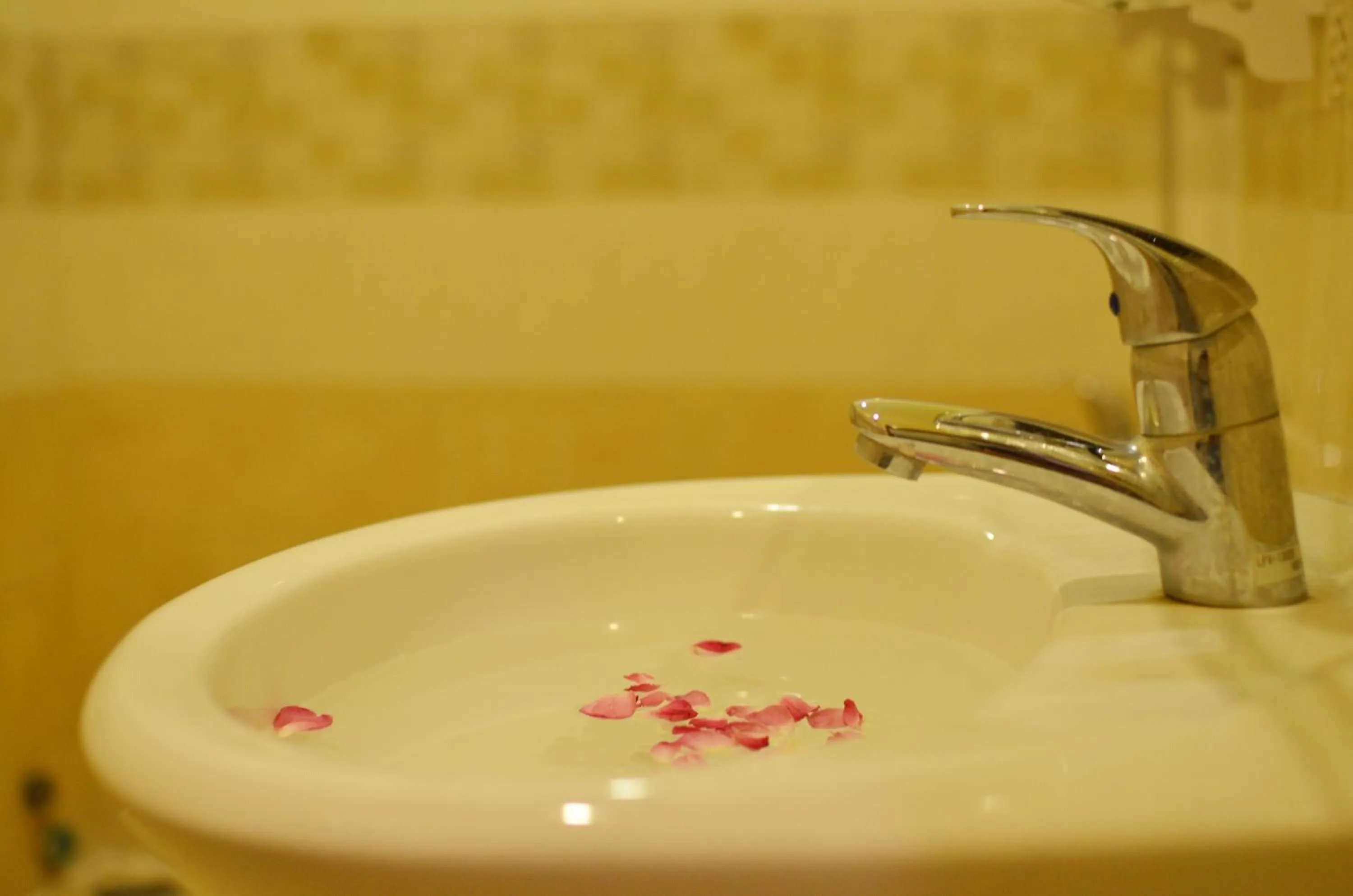 Other in Panda Garden Homestay