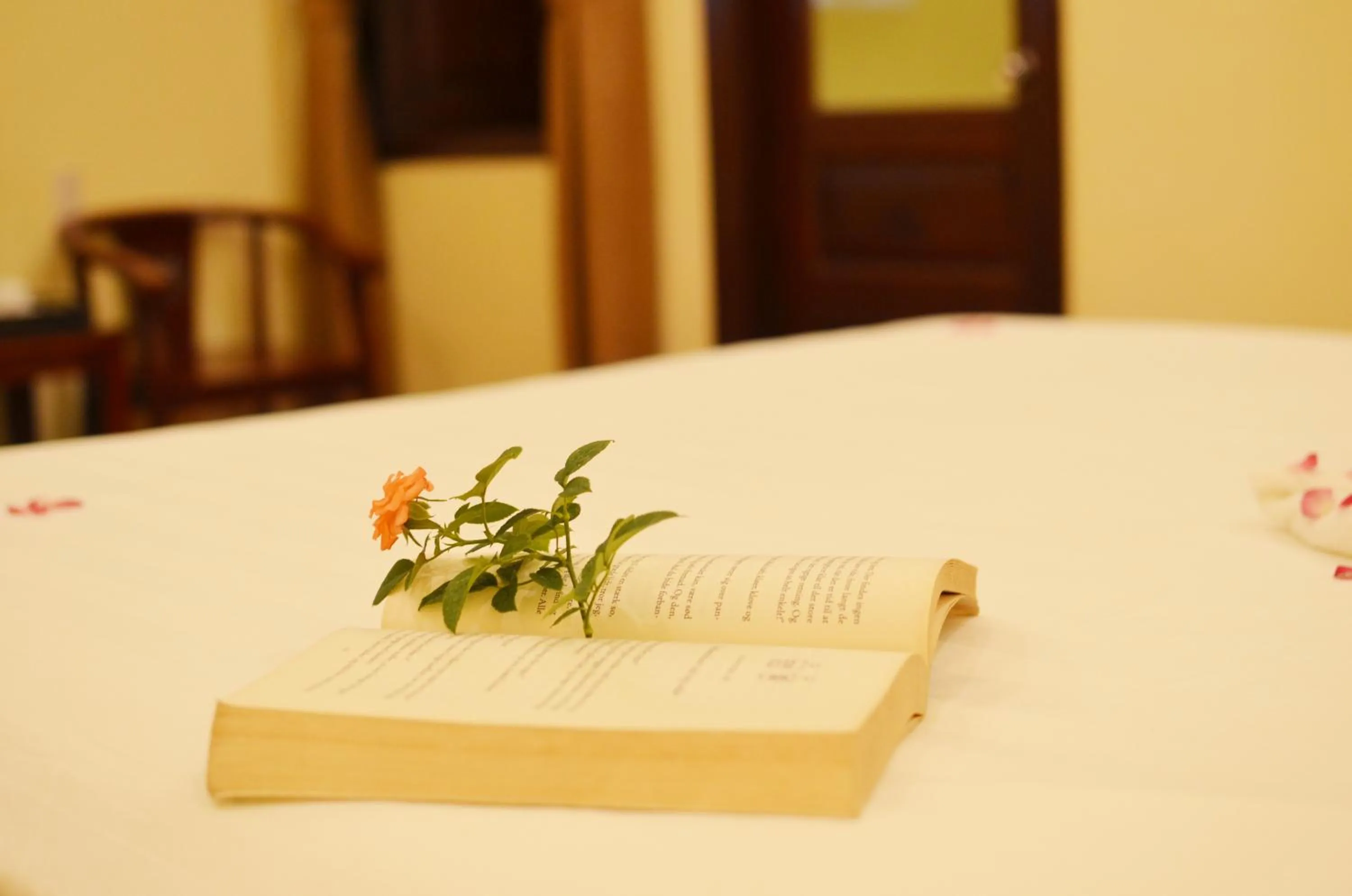 Other, Bed in Panda Garden Homestay