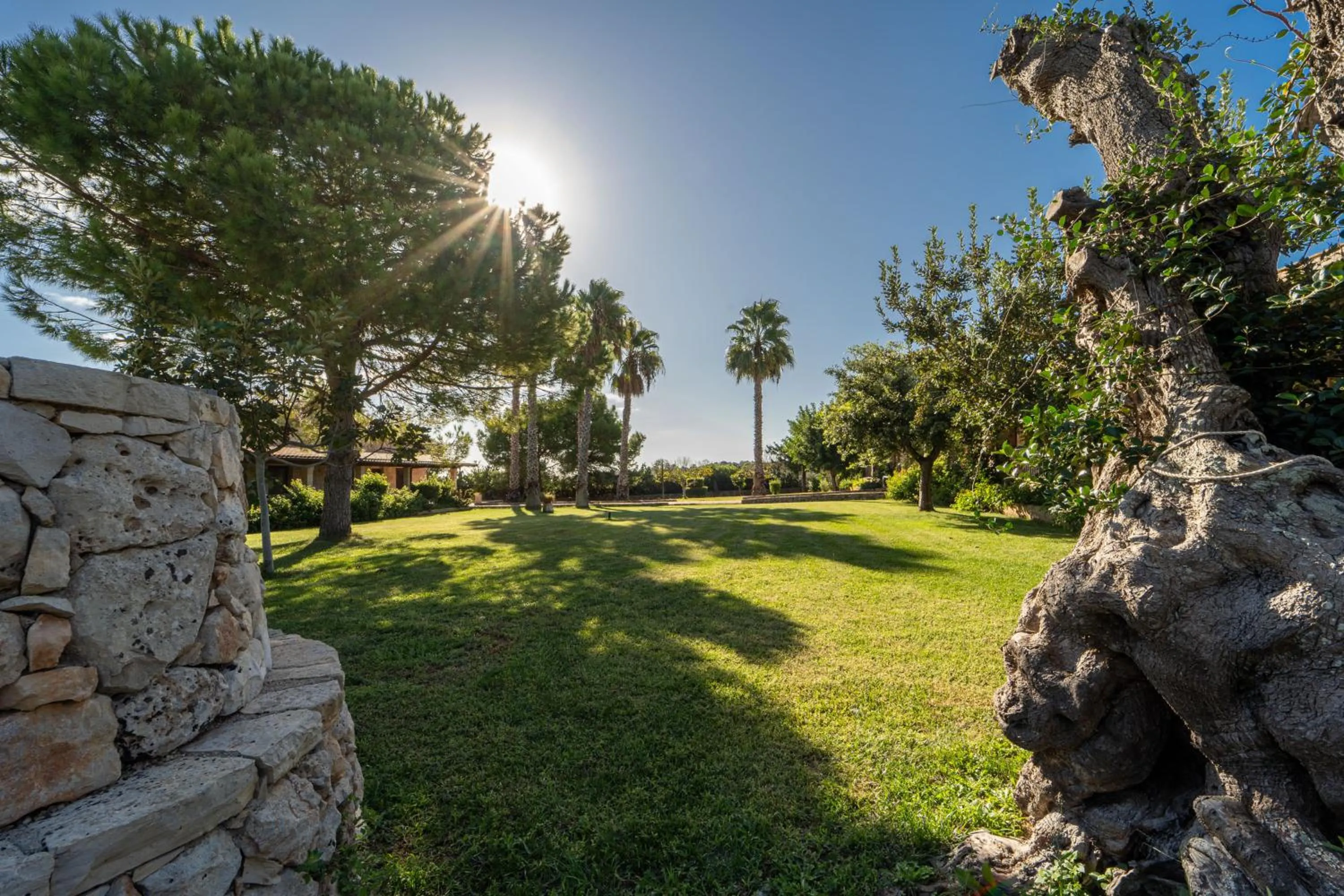 Garden in Hotel Masseria Le Pajare