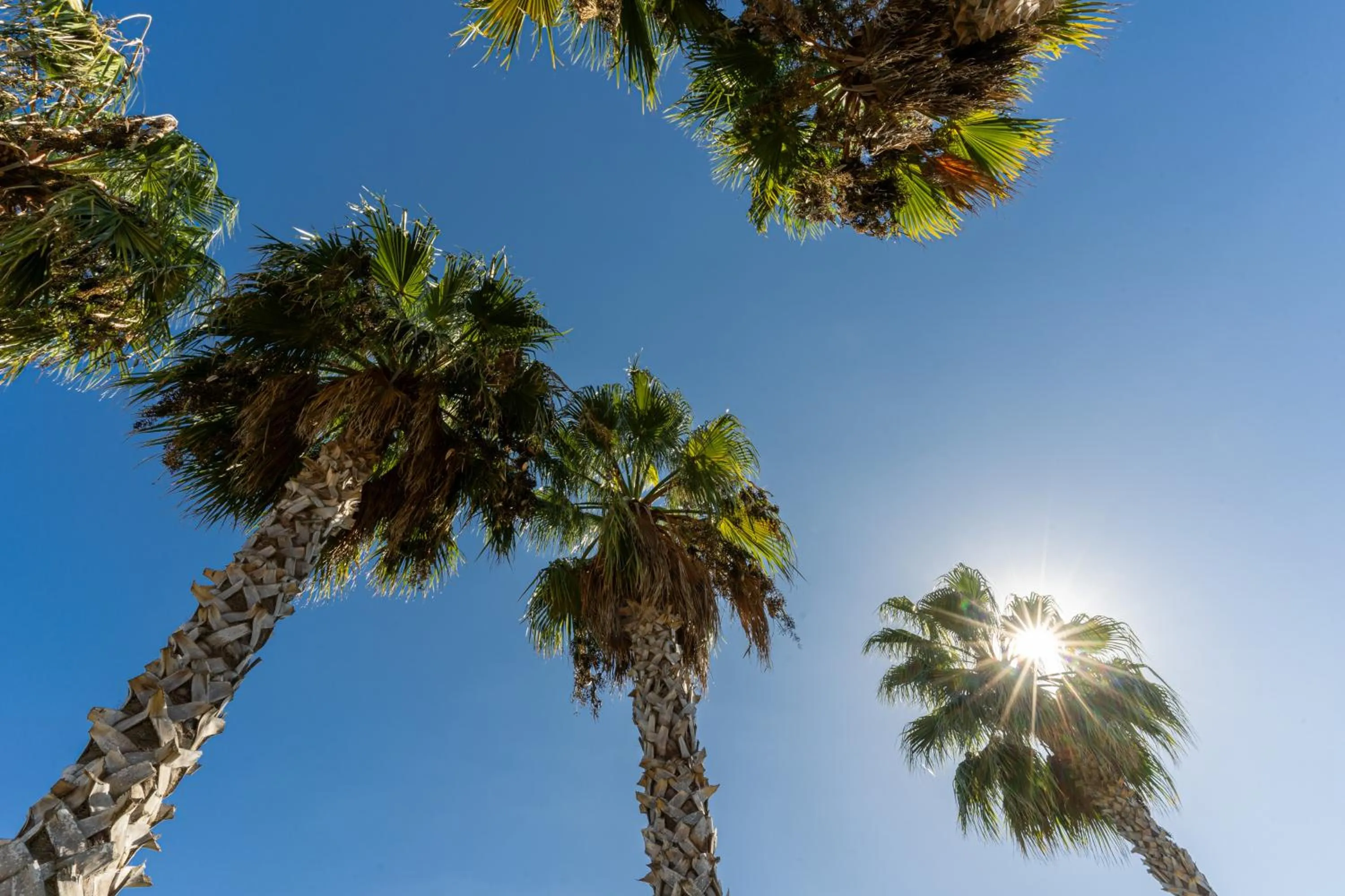 Natural landscape in Hotel Masseria Le Pajare