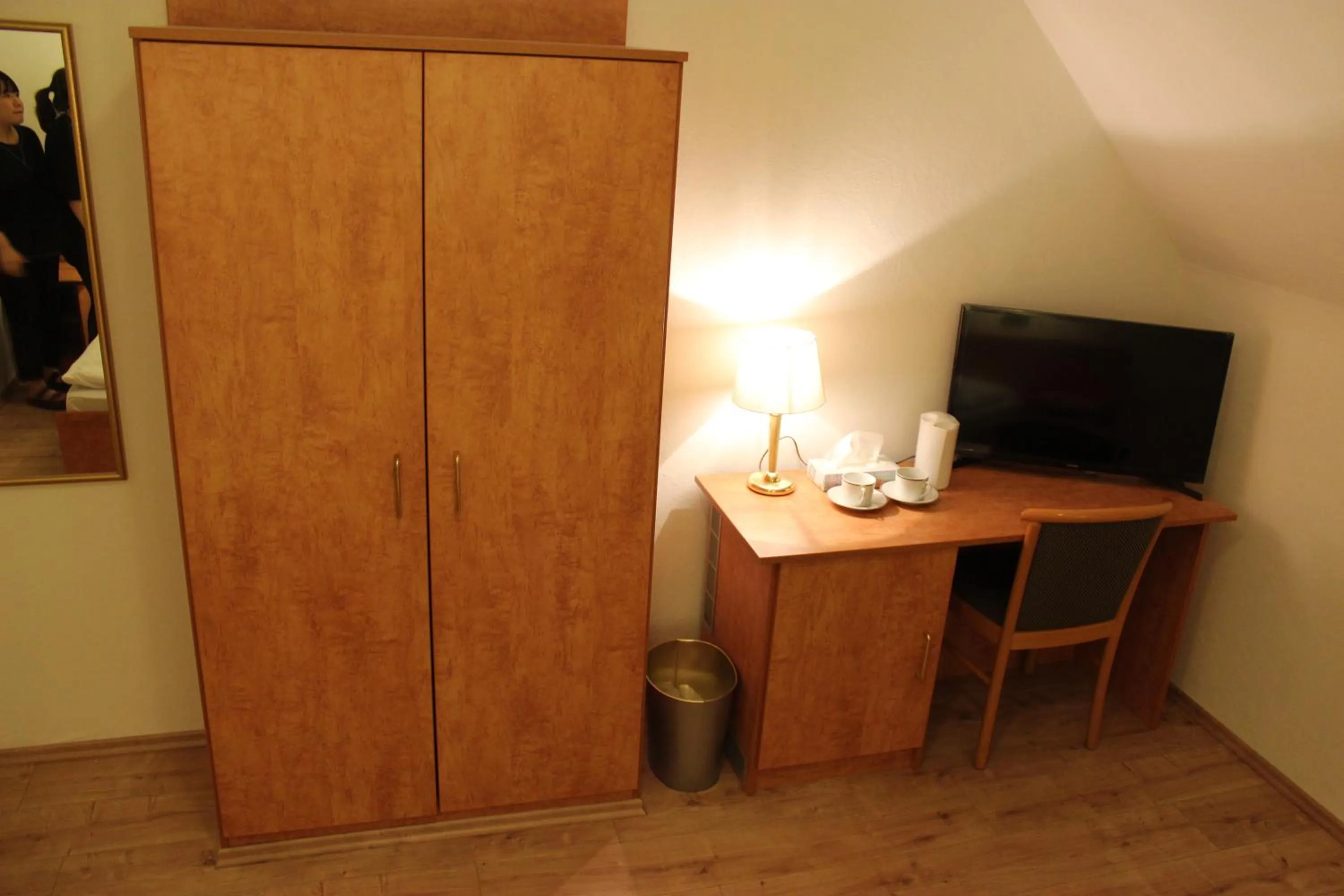 TV and multimedia in Hotel Gaya