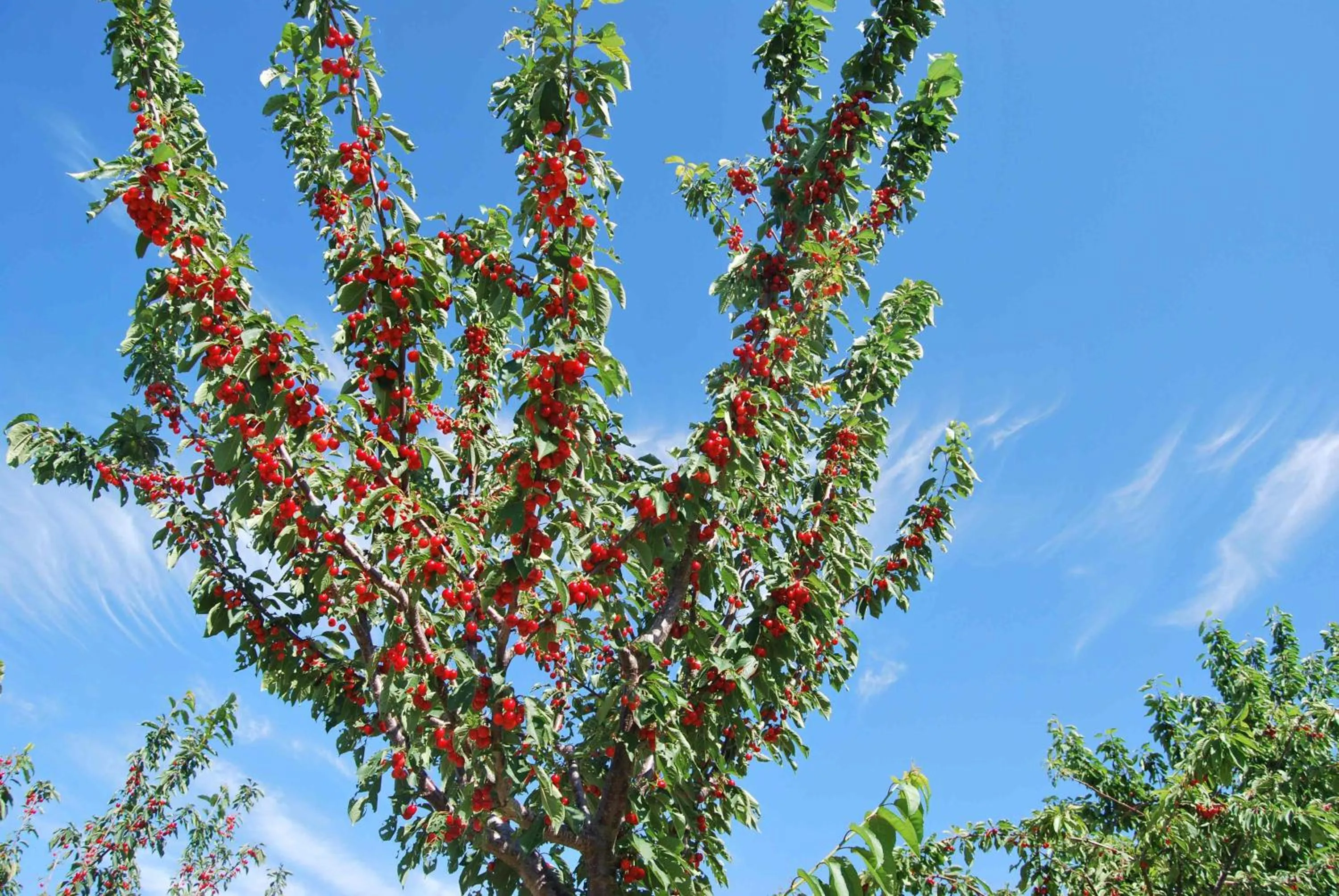 Area and facilities in Cadabò