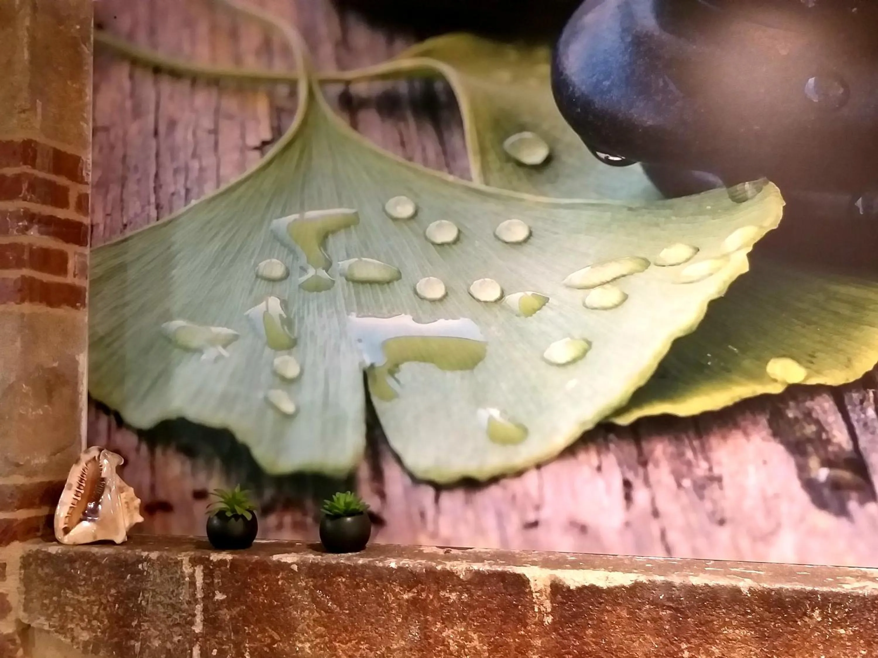 Massage in Hôtel Ginkgo - SPA Biloba
