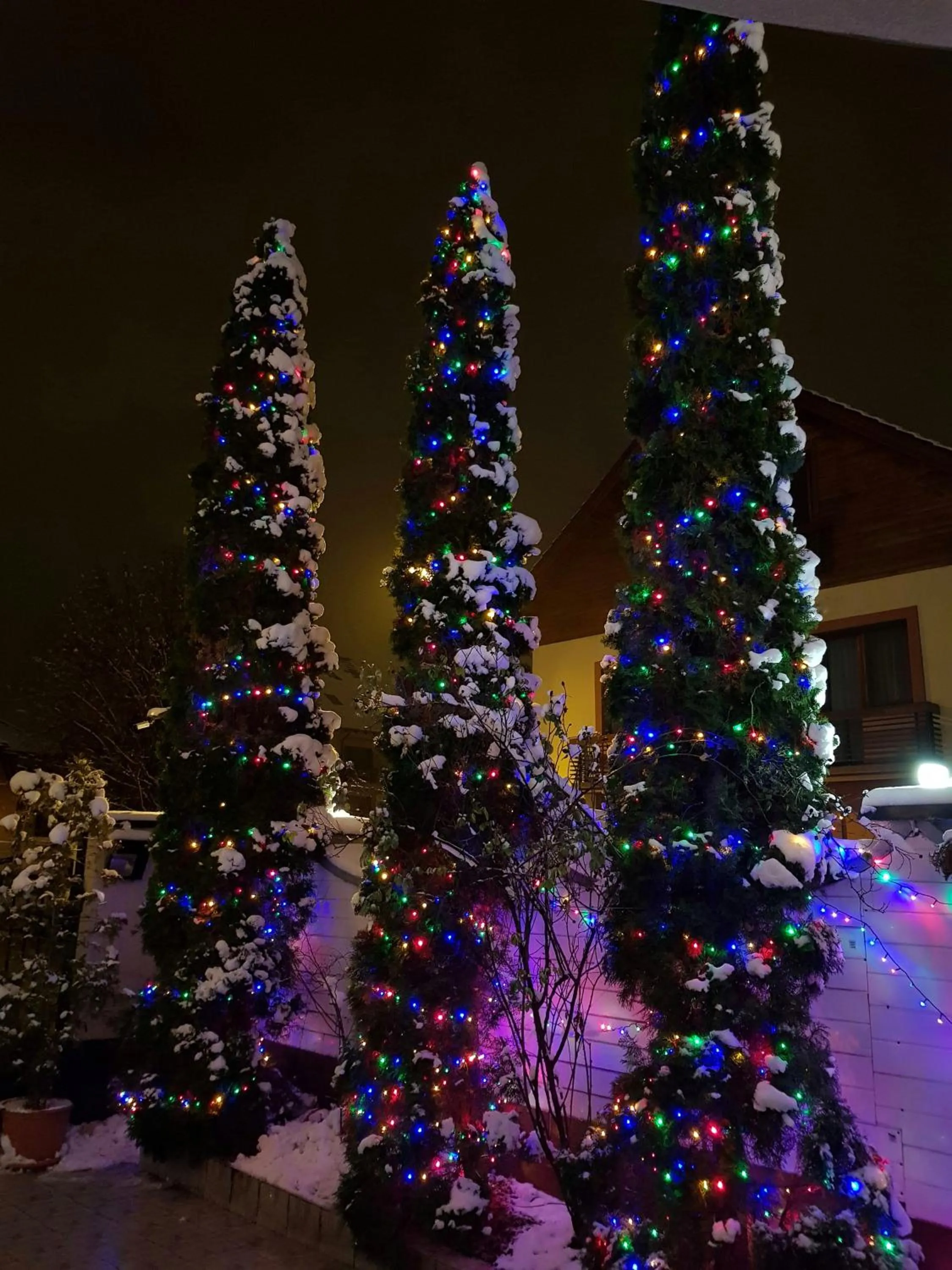 Winter in Pensiunea Leo