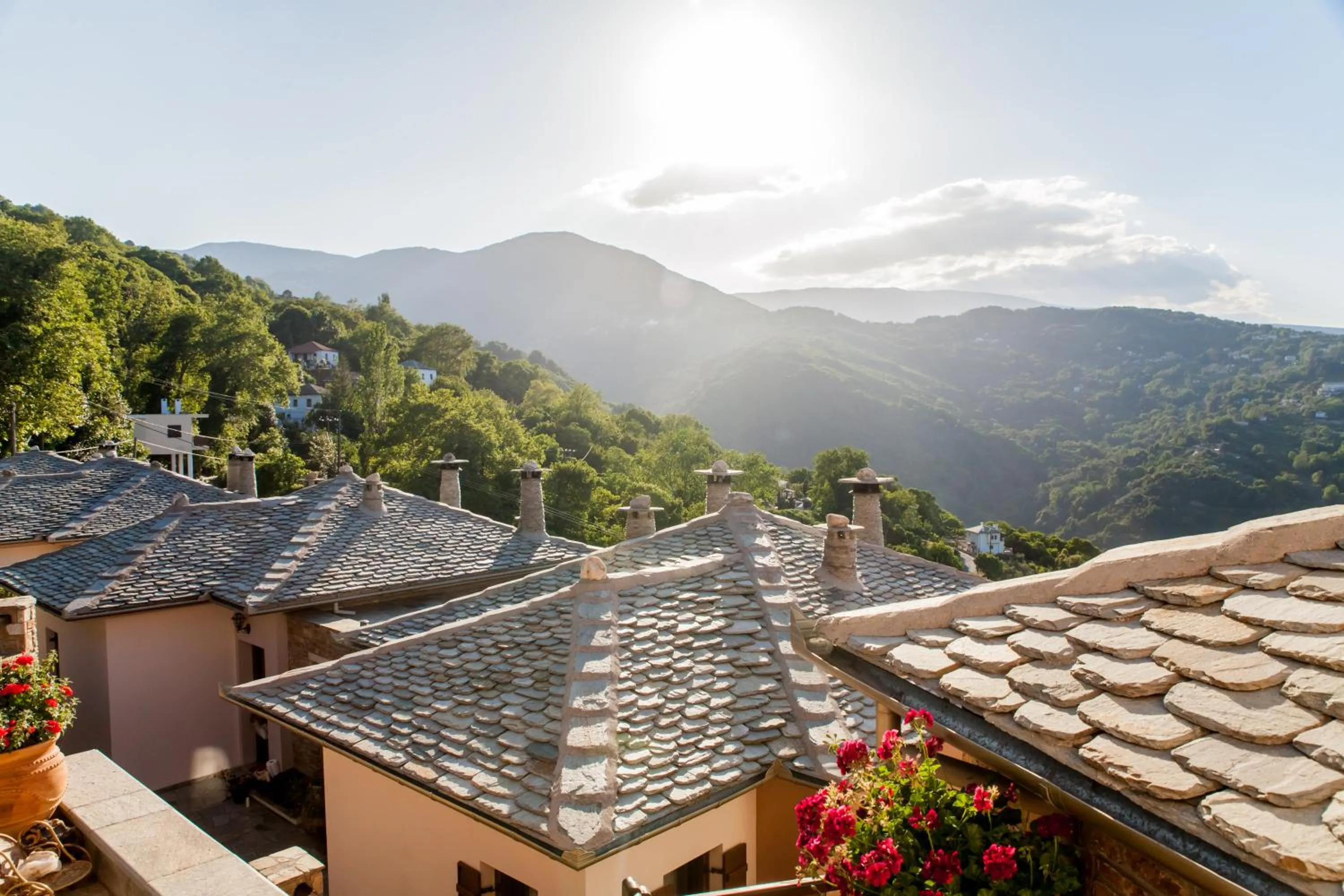 Bird's eye view in Lions Nine