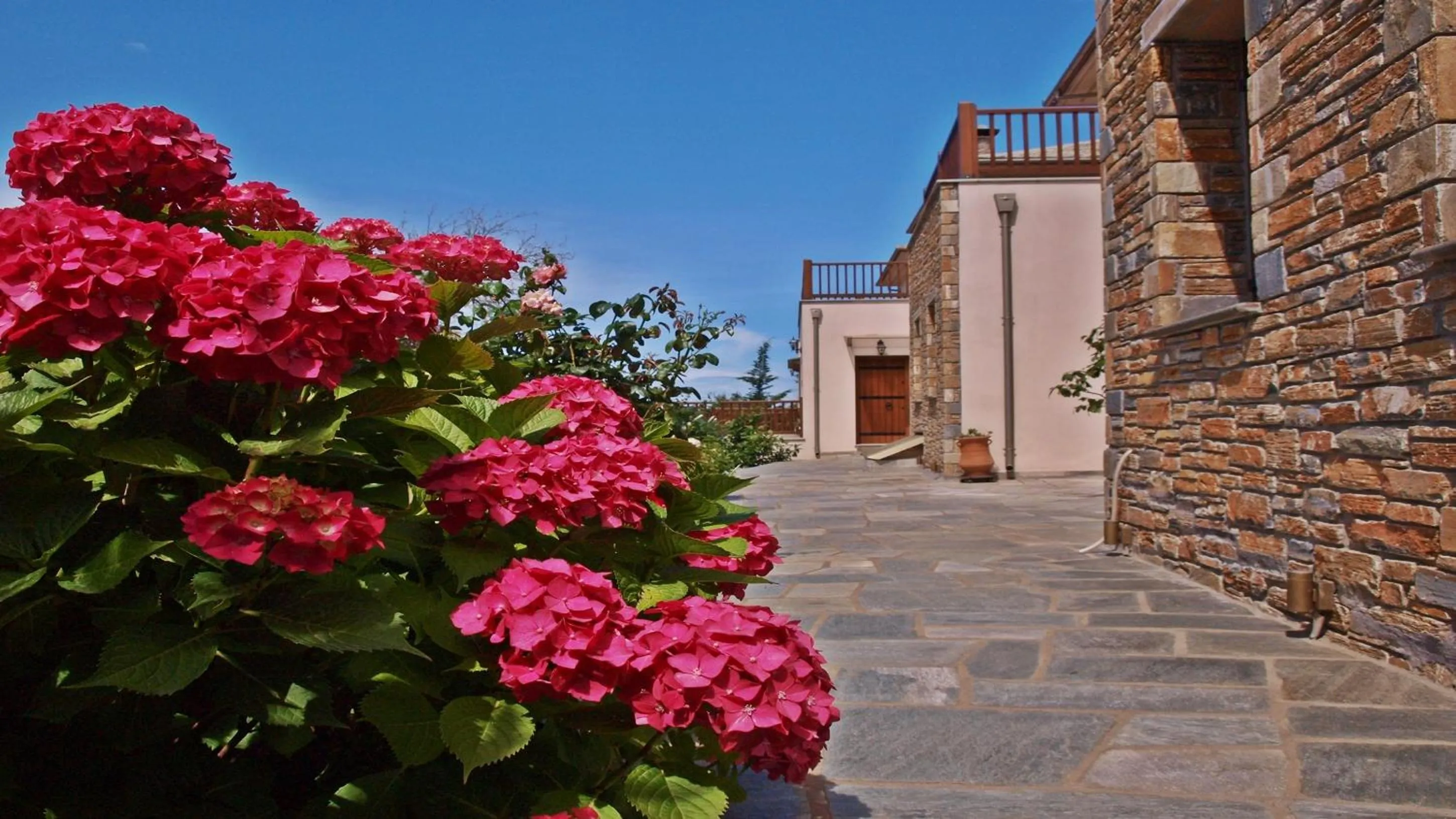 Garden in Lions Nine