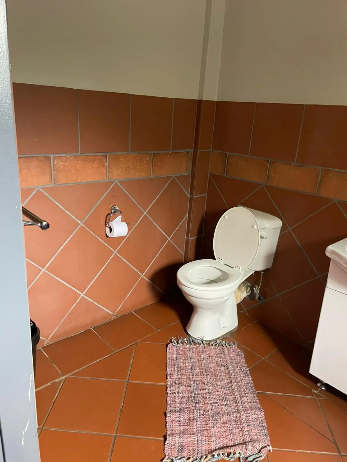 Toilet in The Wild Peach - Menlyn