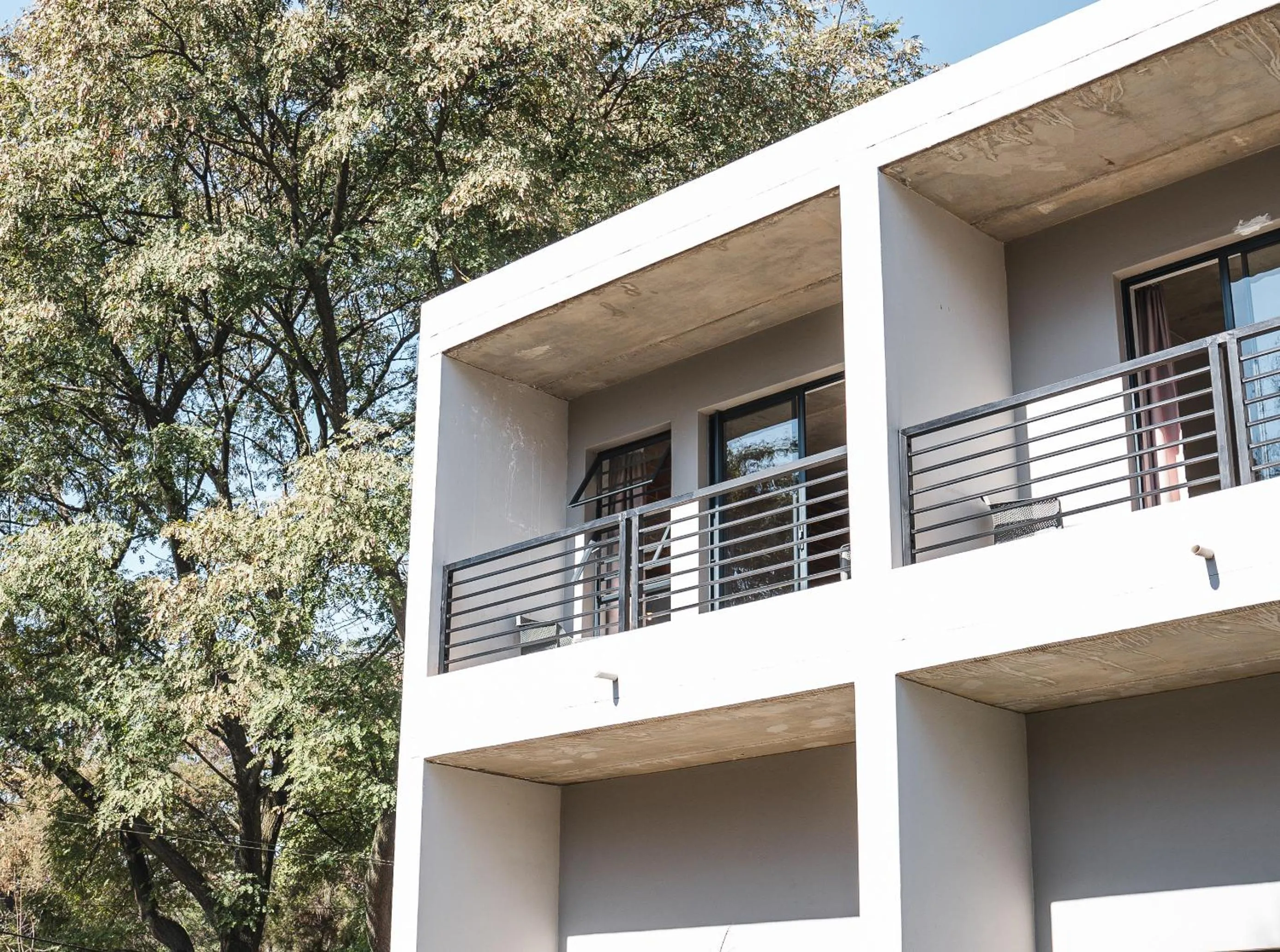 Day in The Wild Peach - Menlyn