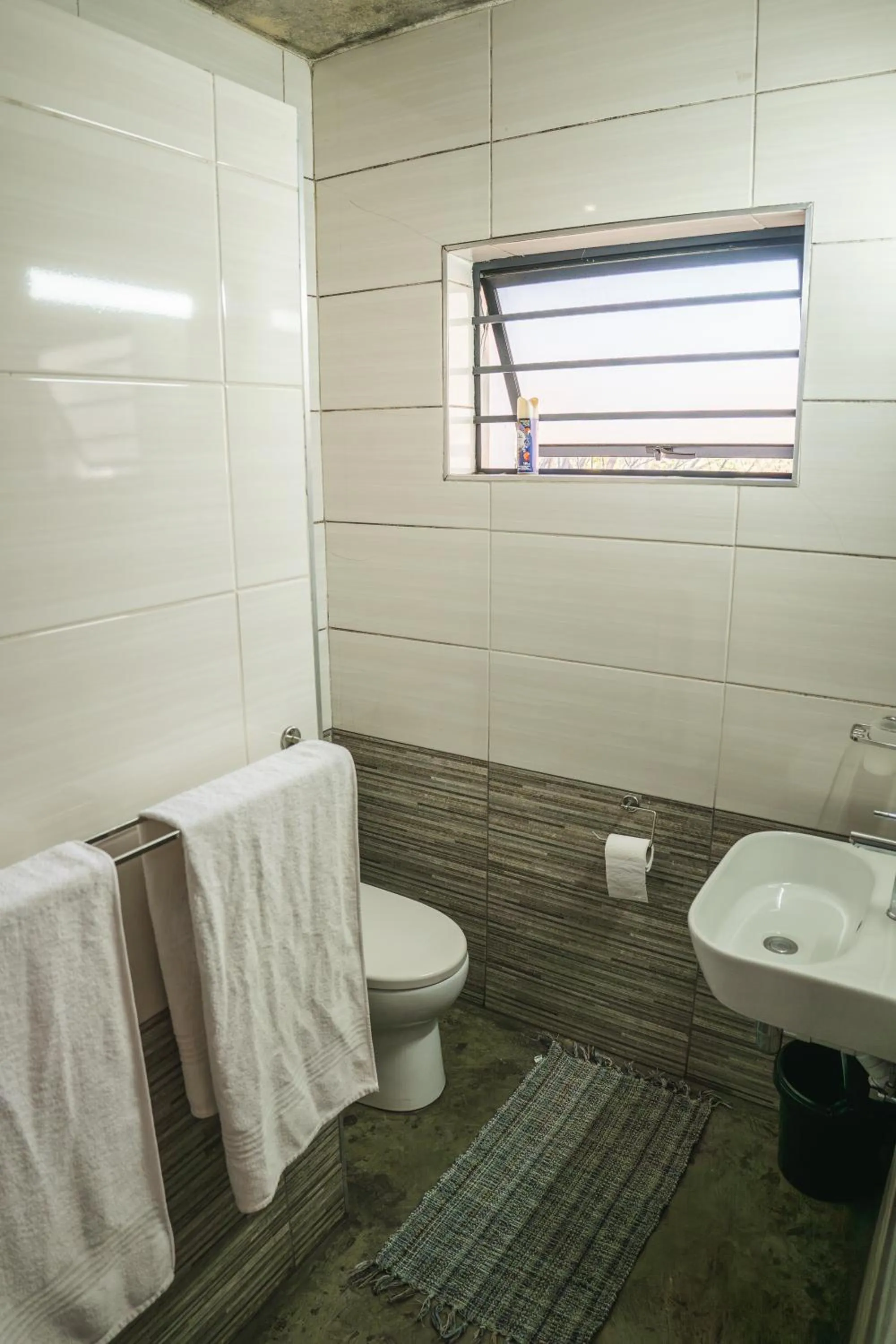 Toilet in The Wild Peach - Menlyn