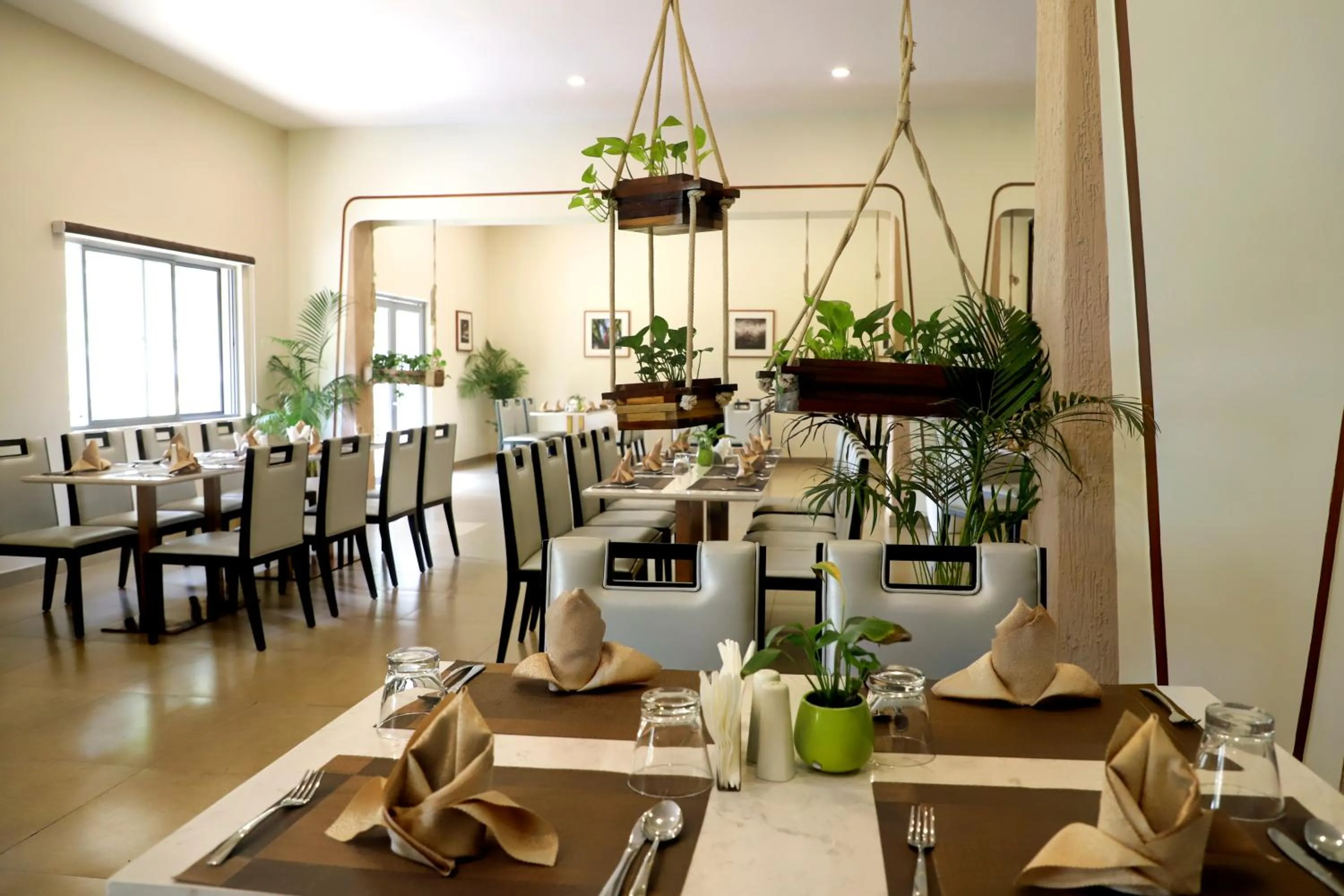 Restaurant/places to eat in juSTa Rangers Munnar