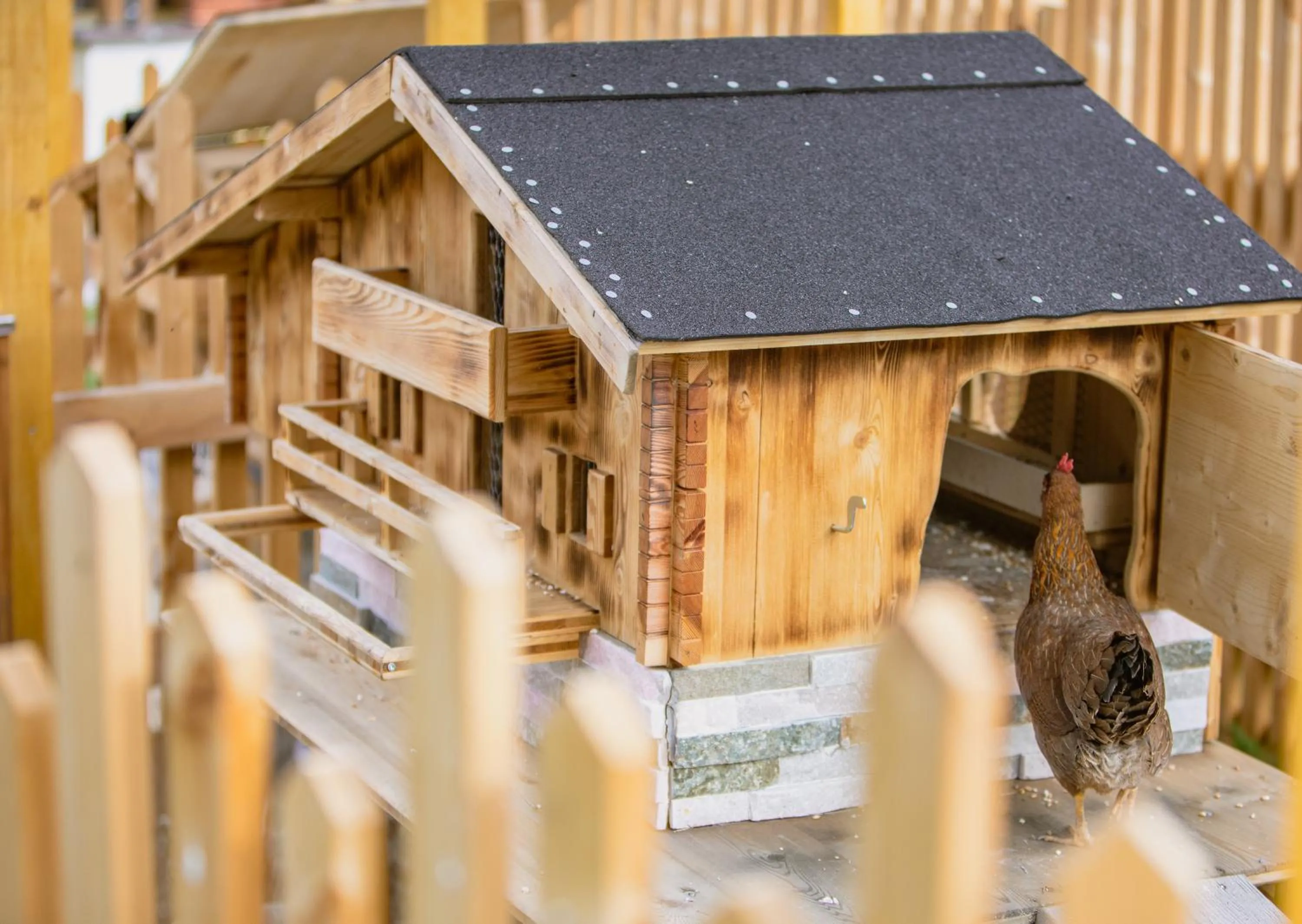 Animals in Hotel Barbarahof Saalbach