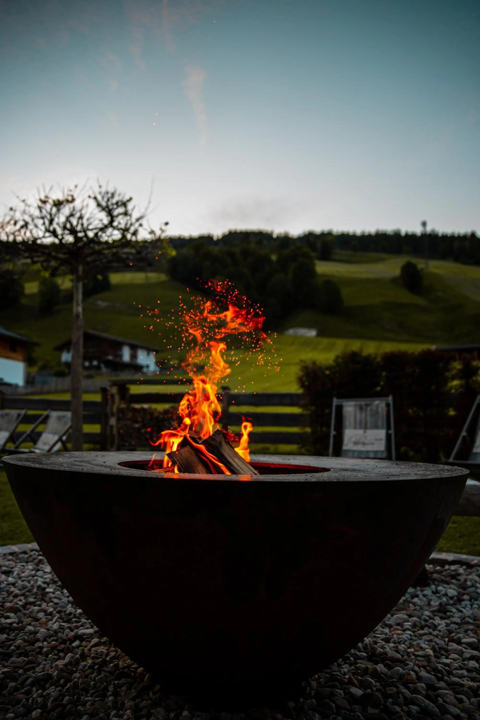 Garden in Hotel Barbarahof Saalbach