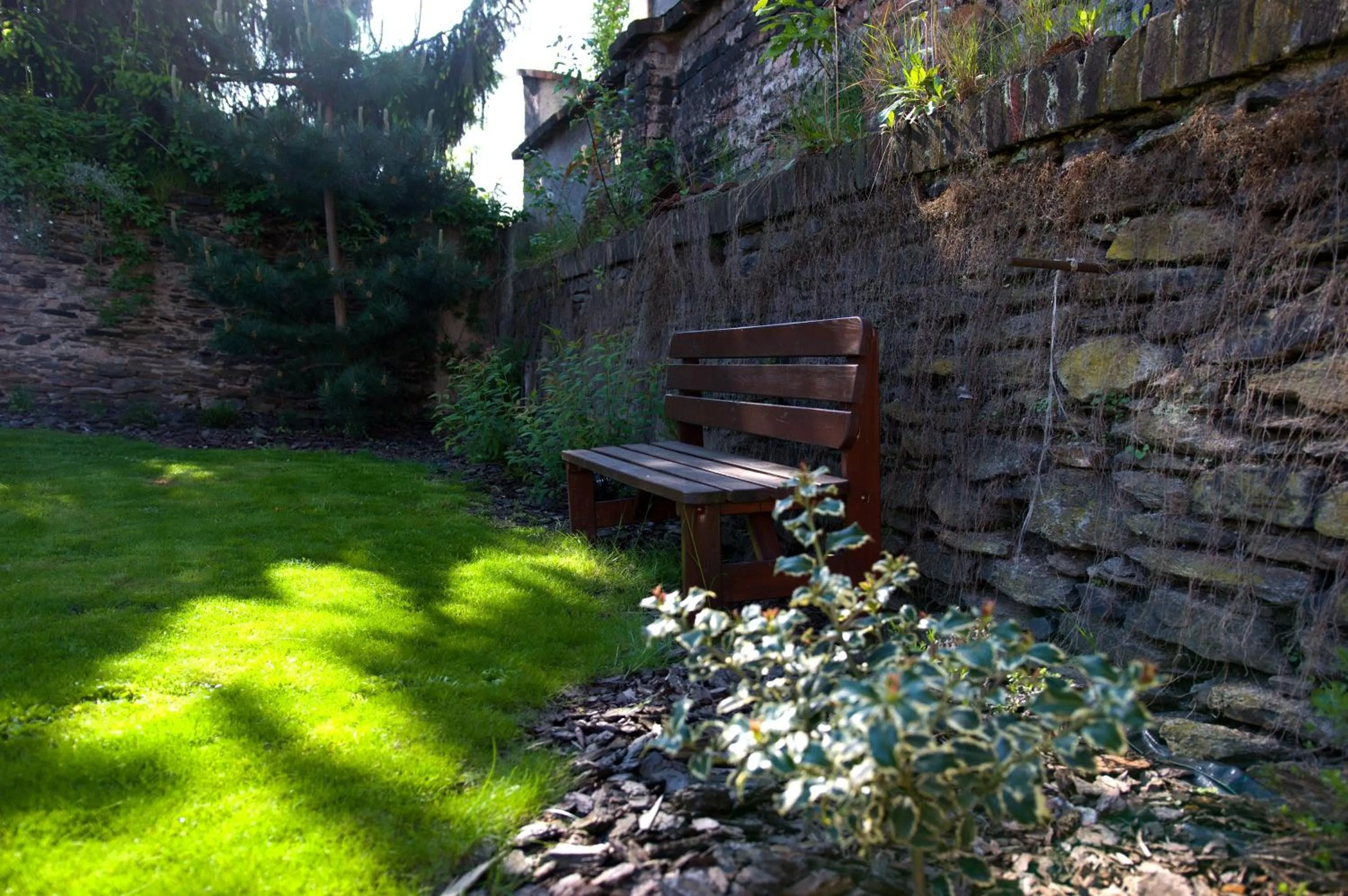 Garden in Pension Falconi