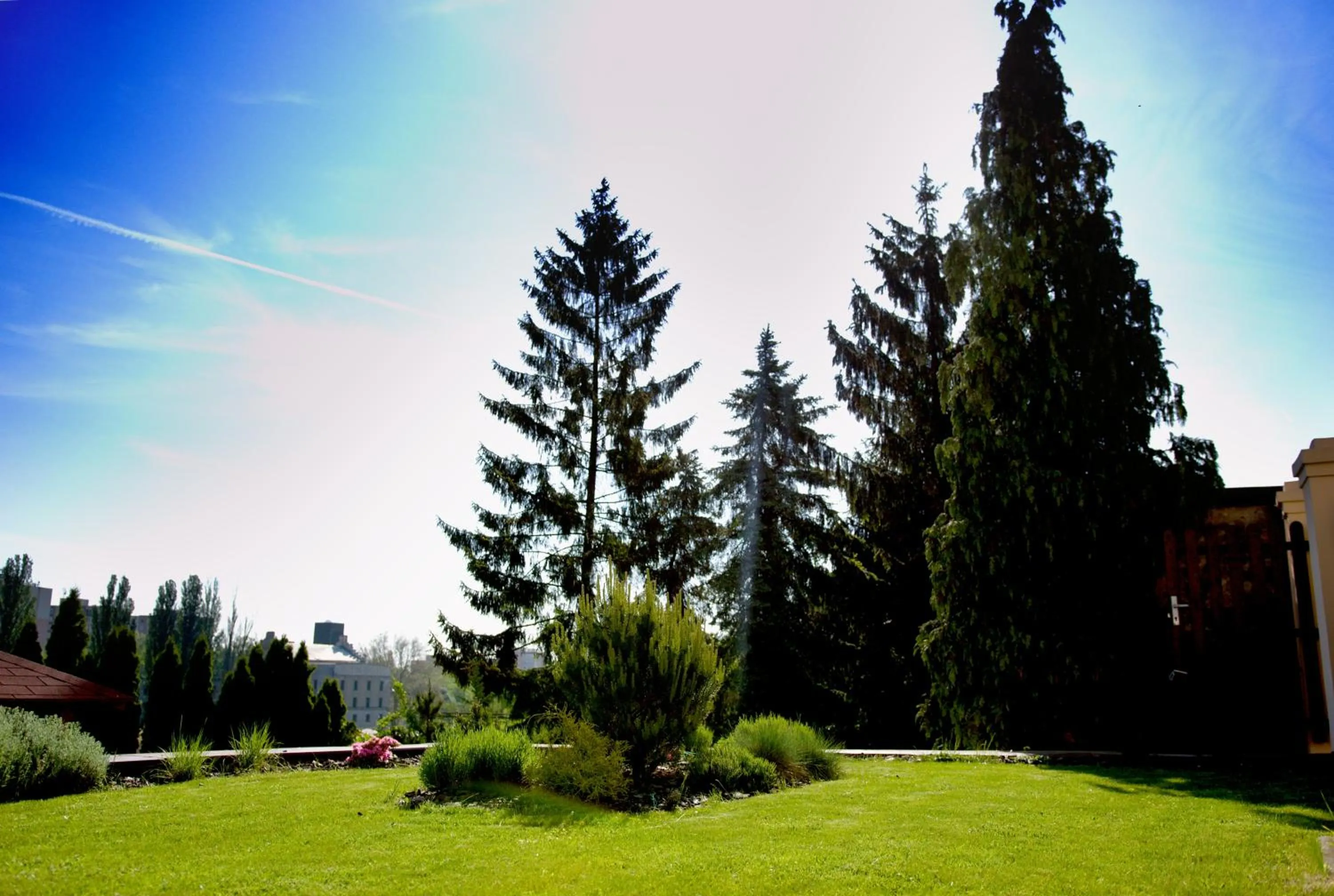 Garden in Pension Falconi