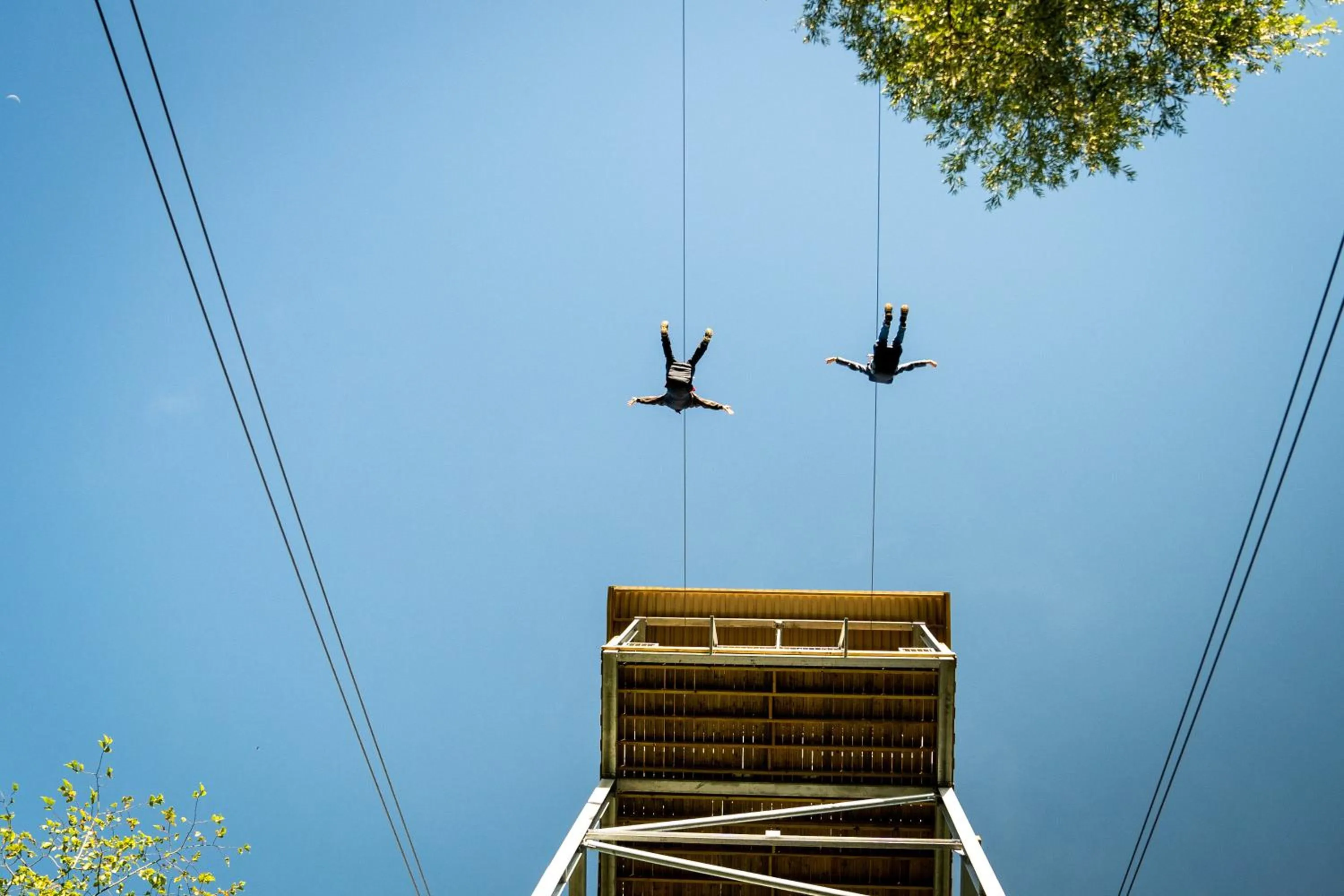 Area and facilities in voco Belfast by IHG