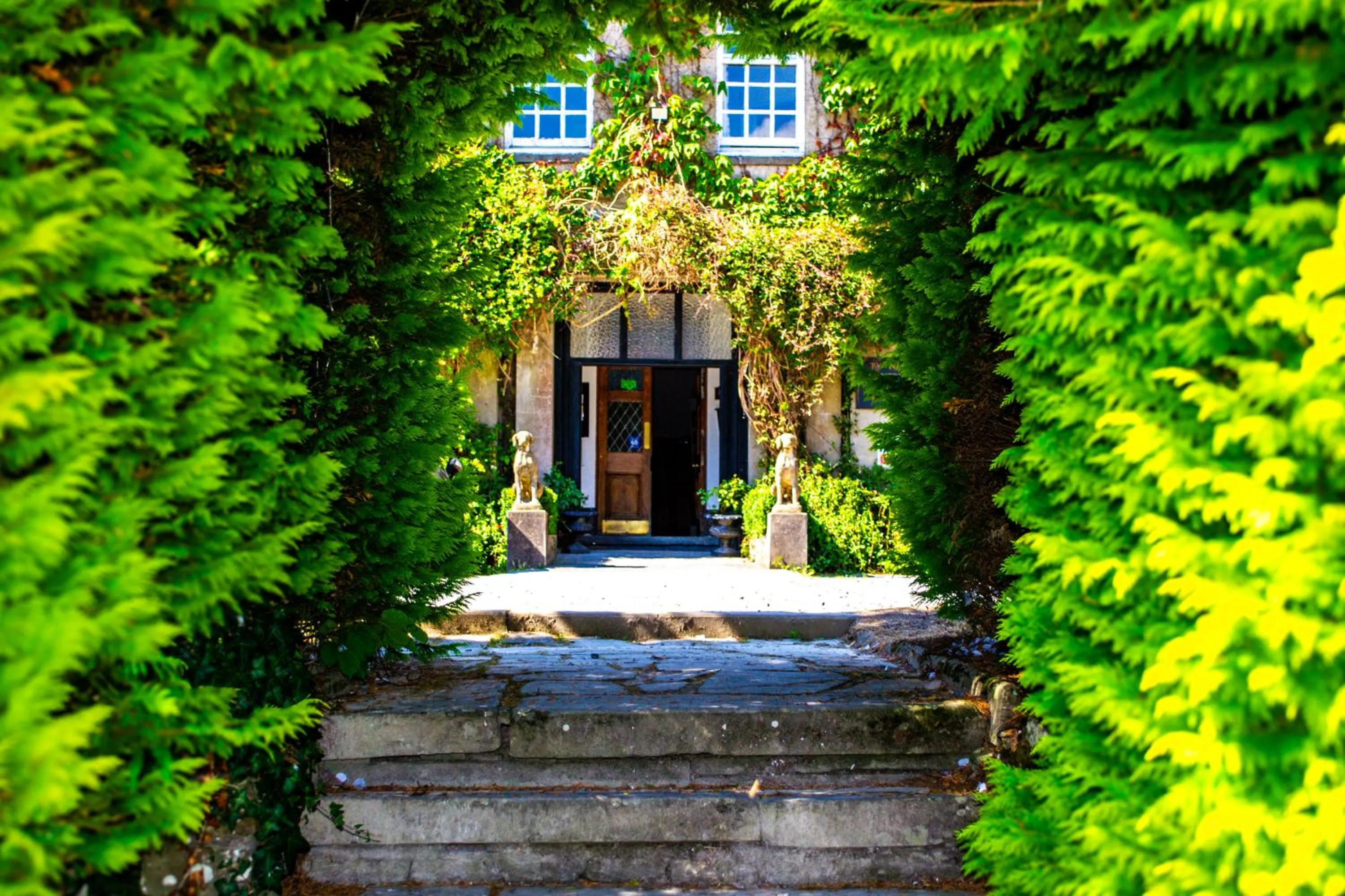 Ty Newydd Country Hotel