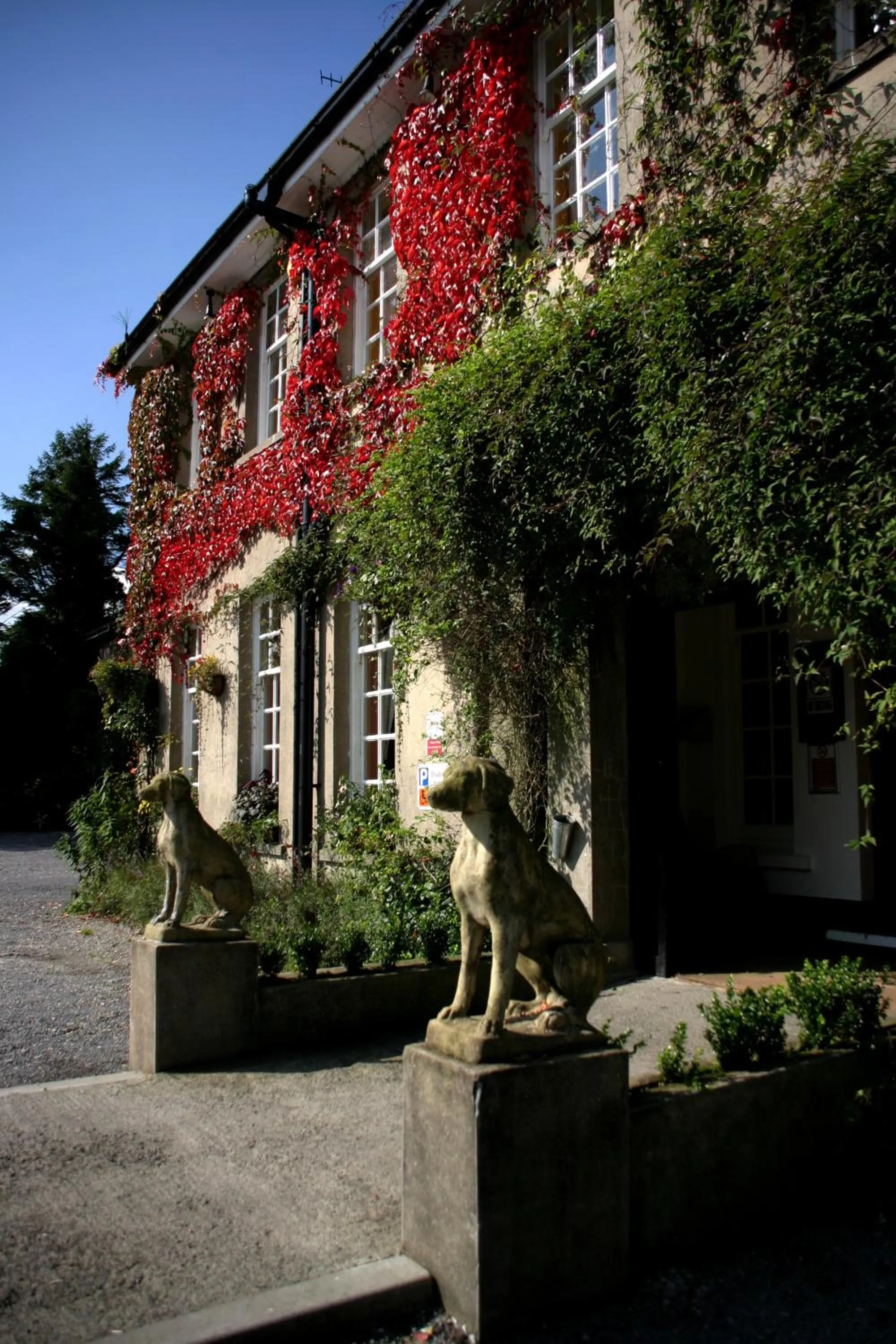 Facade/entrance in Ty Newydd Country Hotel
