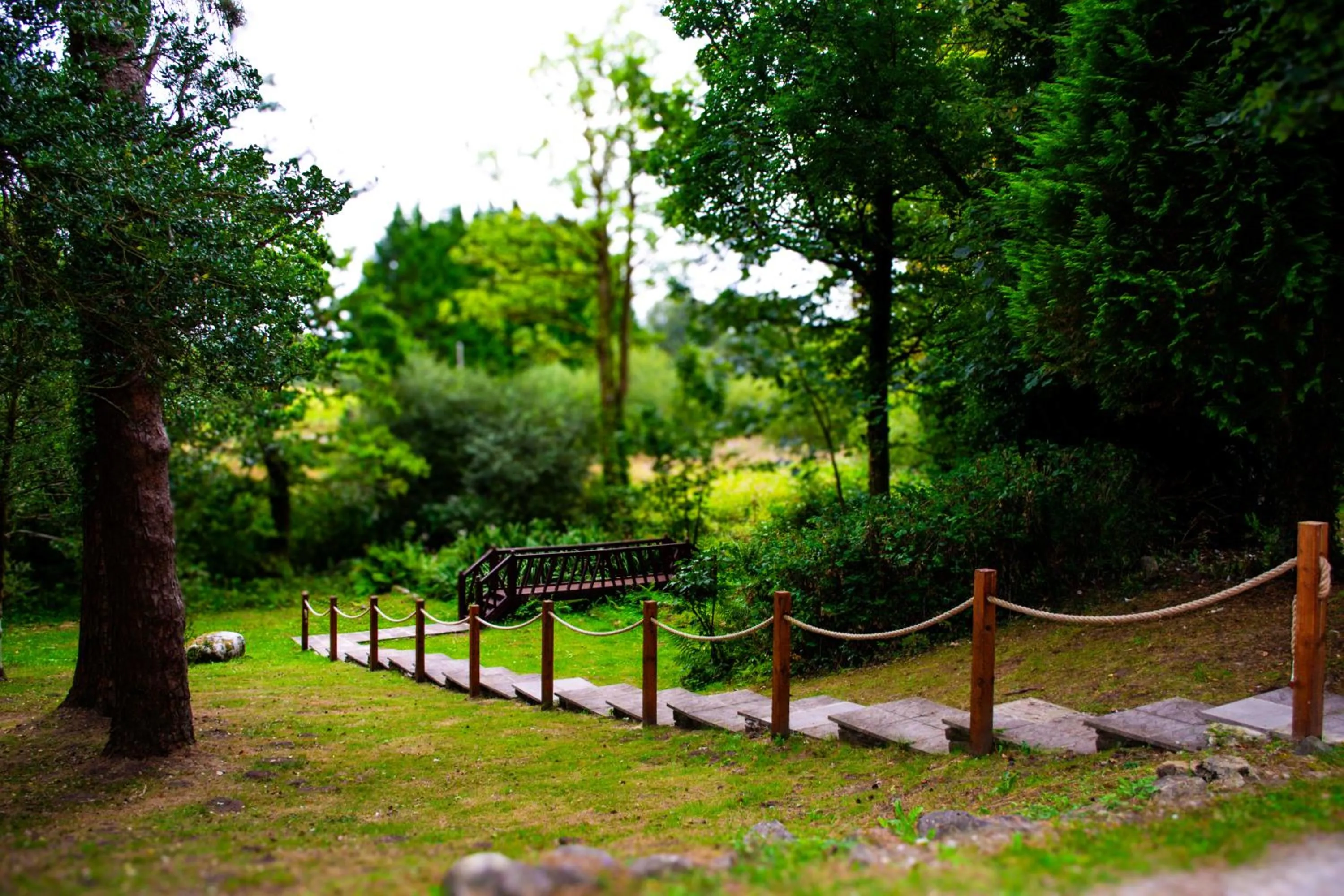 Ty Newydd Country Hotel