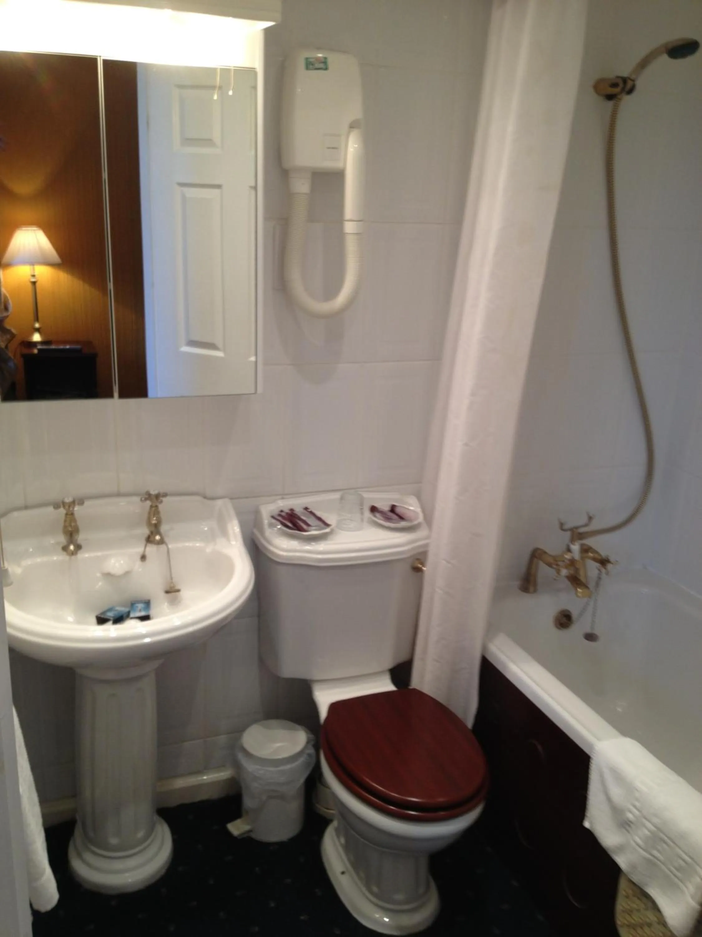 Bathroom in Ty Newydd Country Hotel